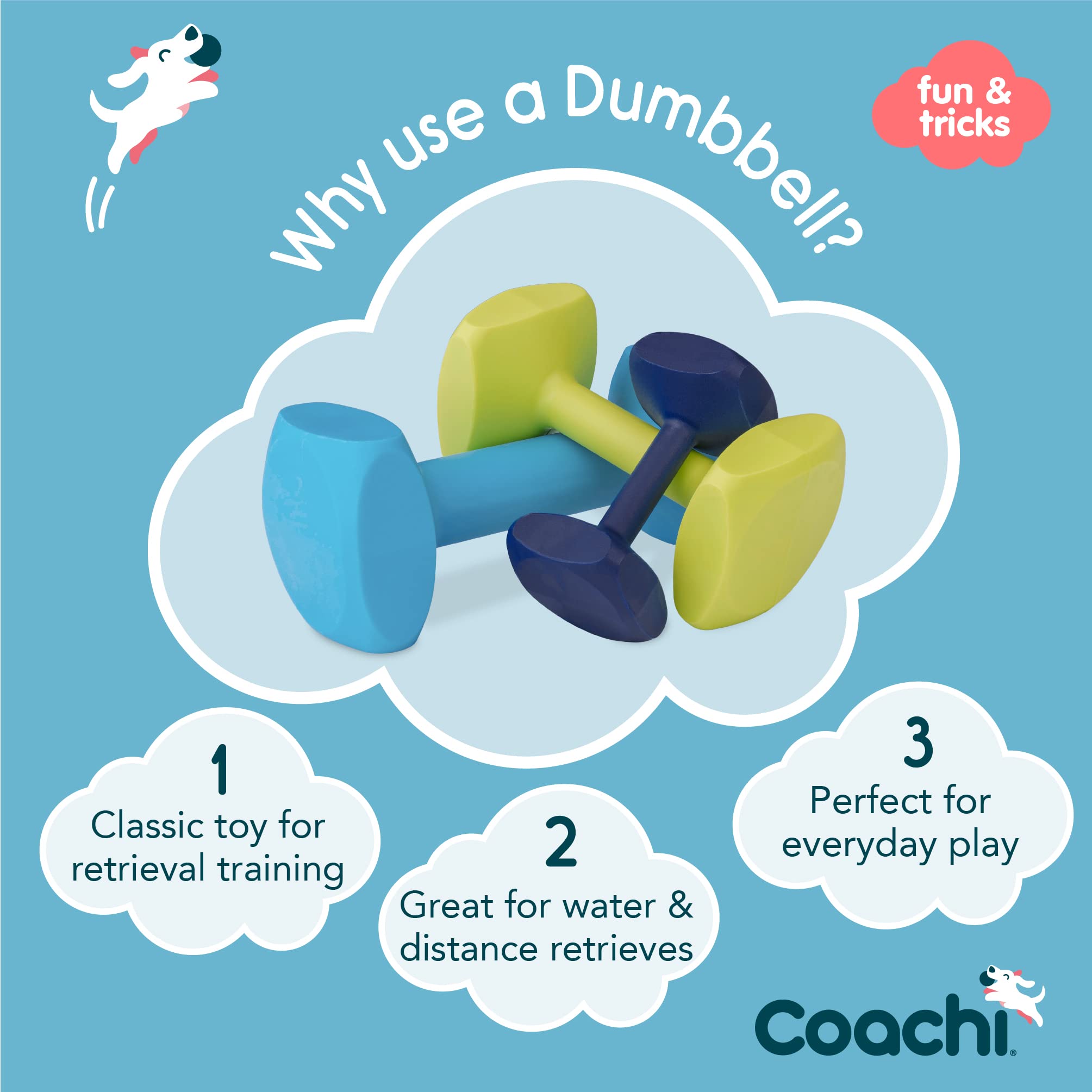 Coachi Training Dumbbell - Floats for Retrieval | Super Tough Plastic | Size M Lime