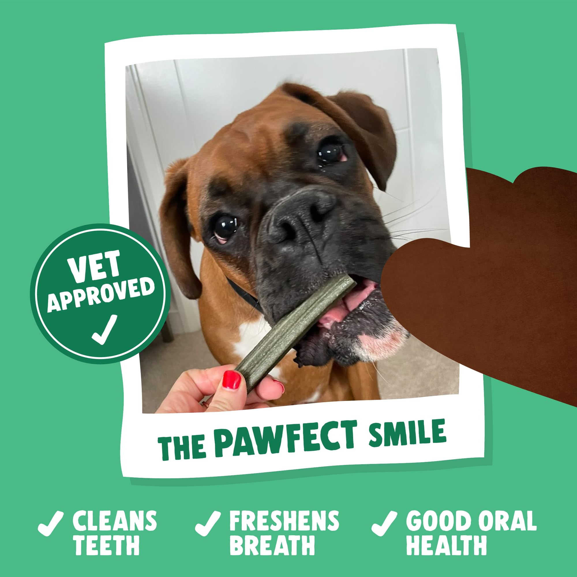 Denzel's Large Dog Dental Sticks - Peanut Butter & Peppermint - 28 Count 2