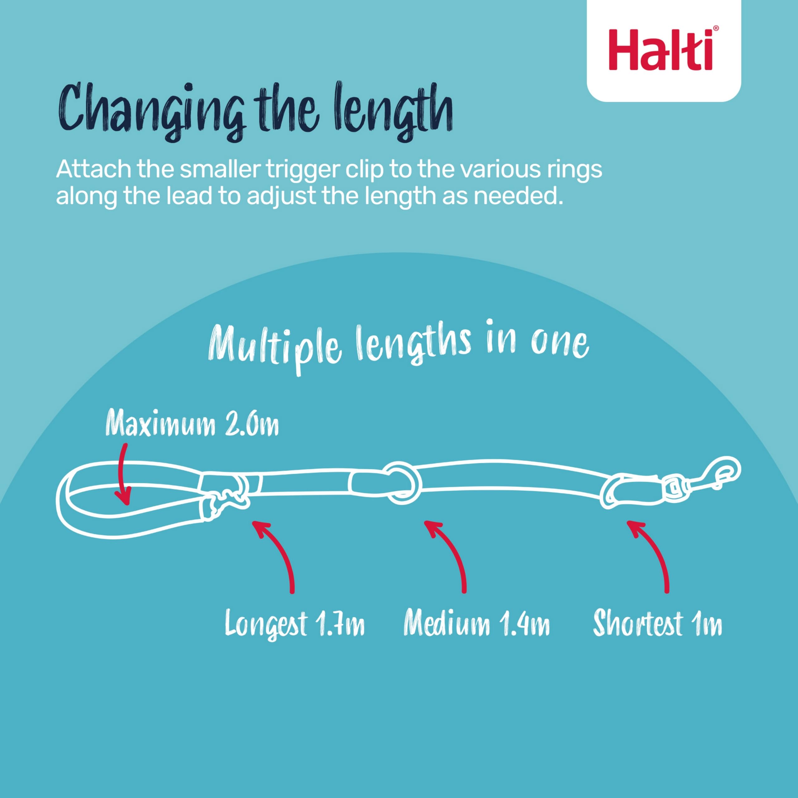 Halti Training Lead - Stops Pulling, Double-Ended, Lightweight & Durable | Size Large, Black, 2m 3