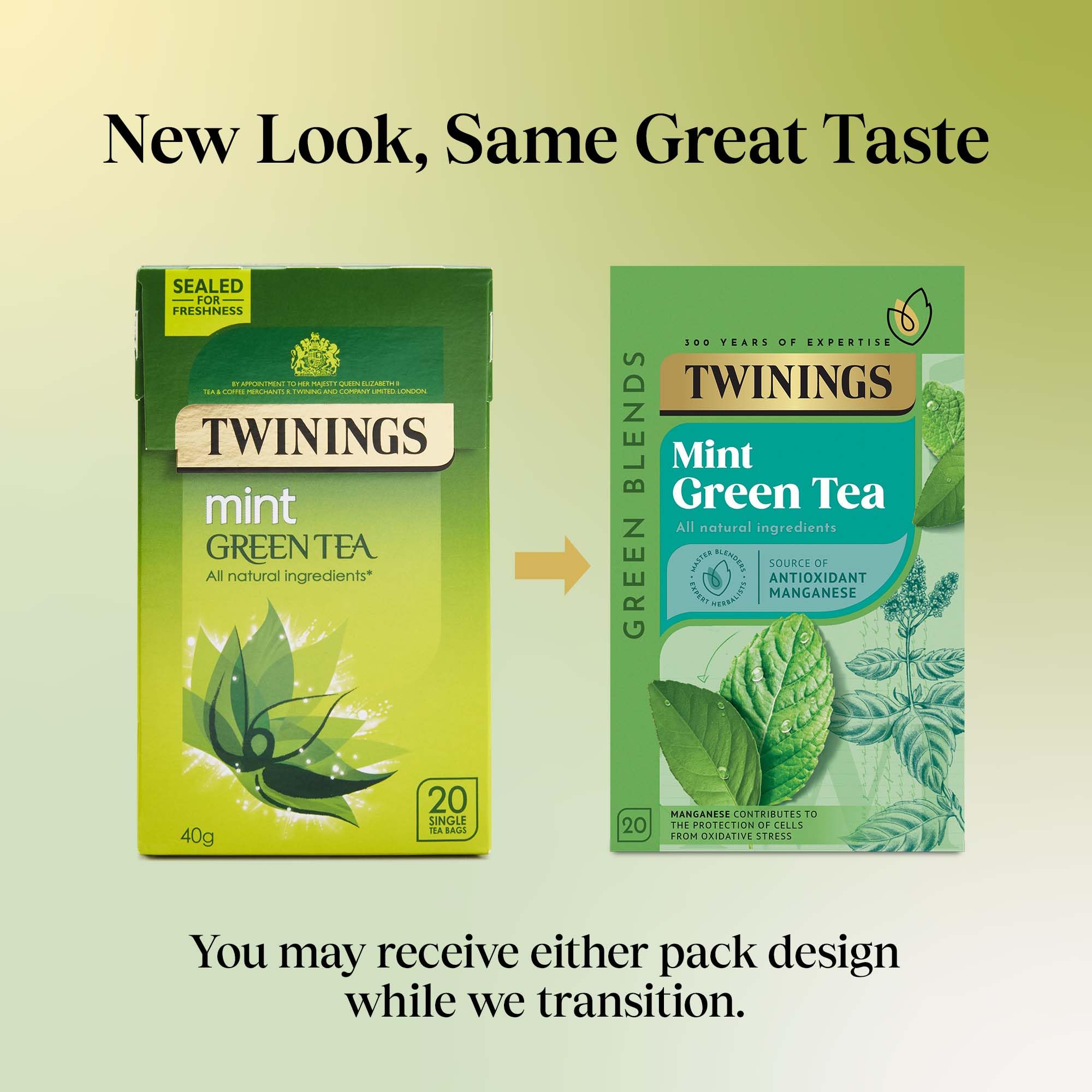 Twinings Mint Green Tea 20 Tea Bags 5