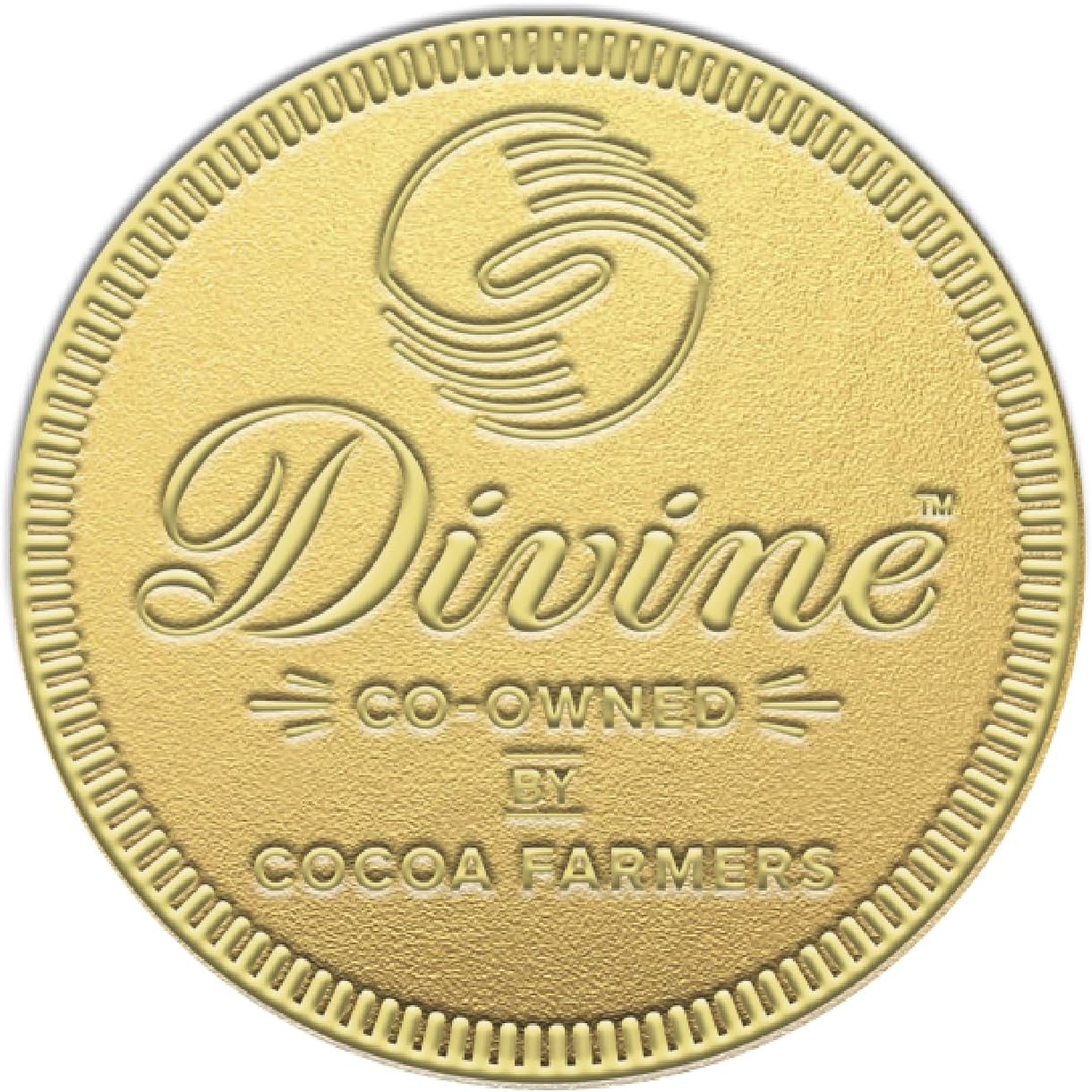 Divine Giant Milk Chocolate Coin - 58g Fairtrade Chocolate Treat