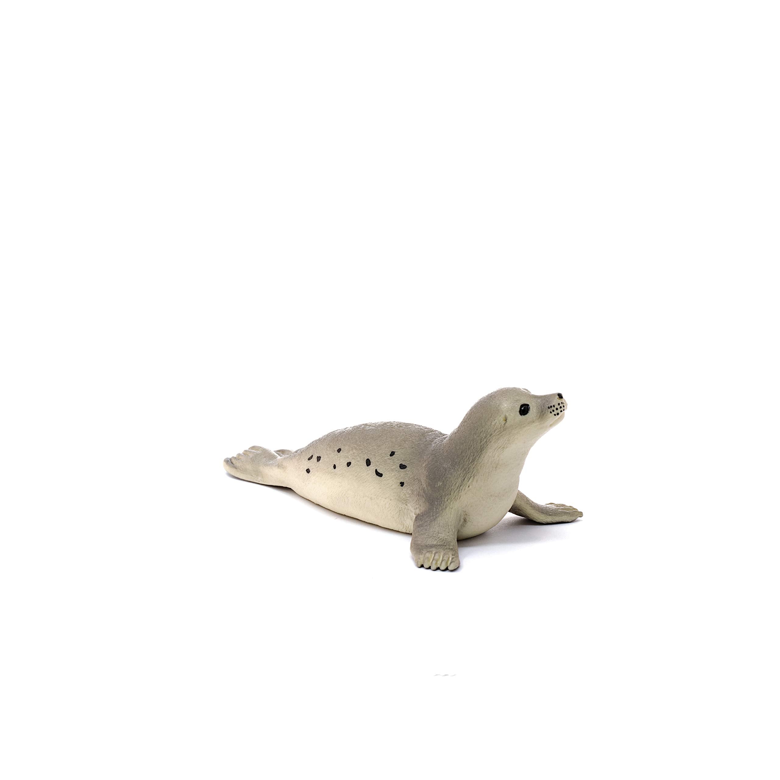 SCHLEICH 14801 Seal Wildlife Animal Figure - Educational Play for Kids 5