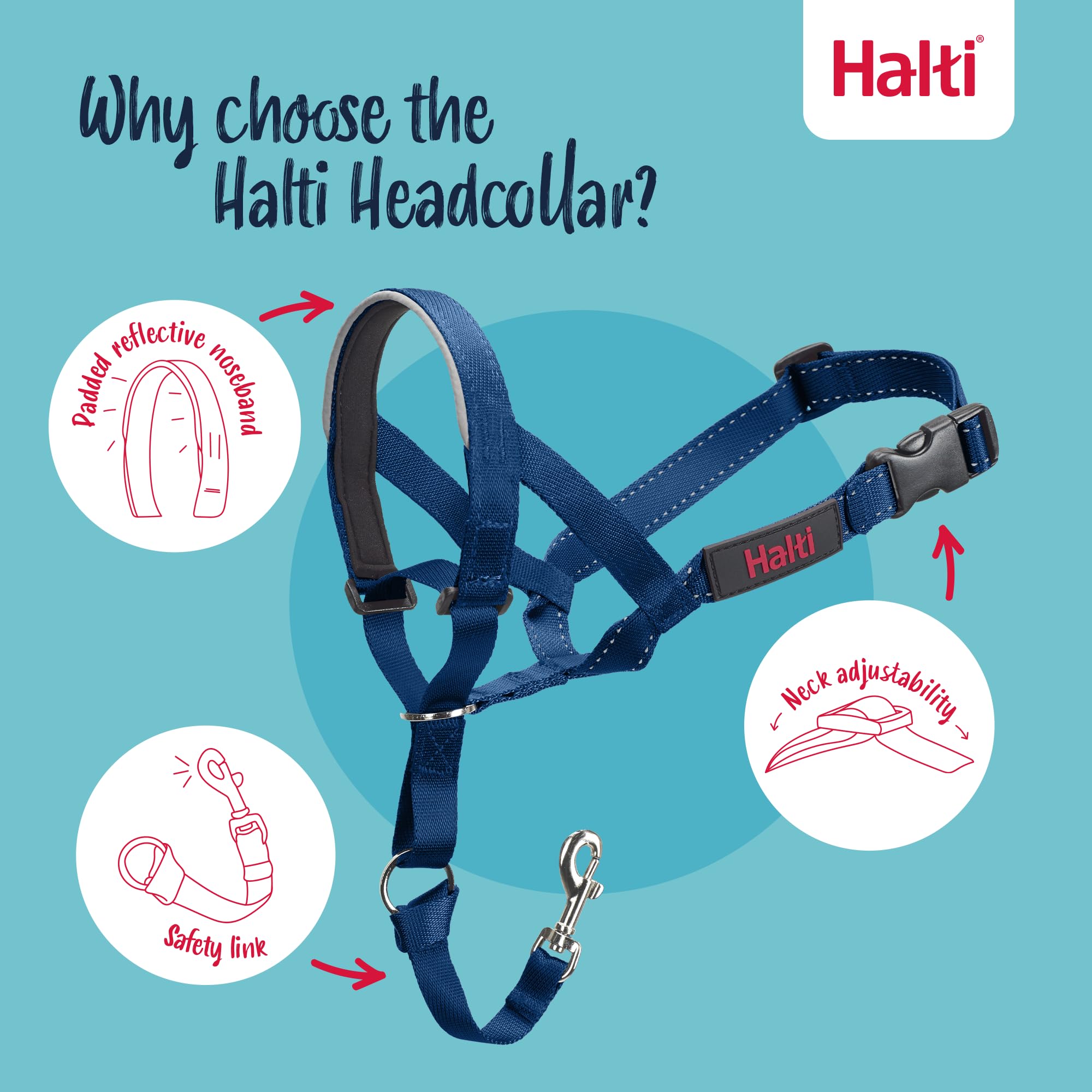 Halti Headcollar - Stop Pulling, Reflective Accents | Size 2 Cobalt Blue 3