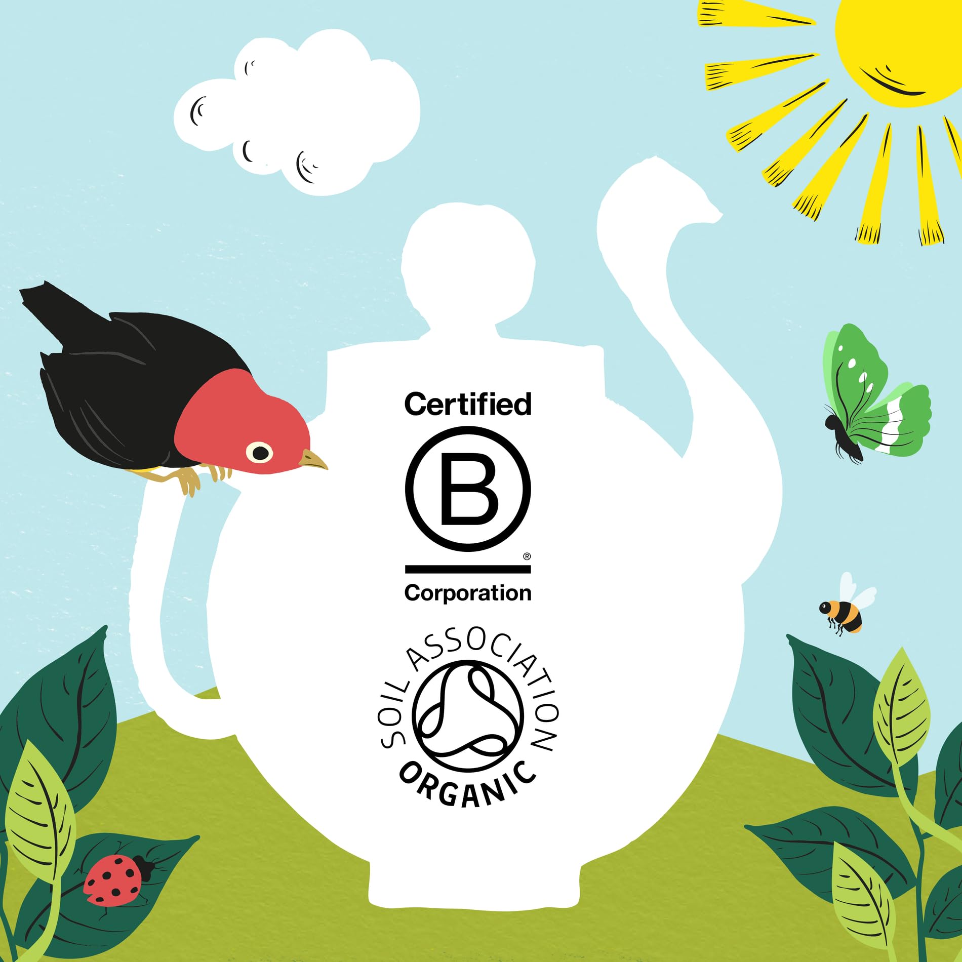 Clipper Bio-Grünteebeutel – Schachtel mit 40 Fairtrade- und biologisch abbaubaren Teebeuteln 13