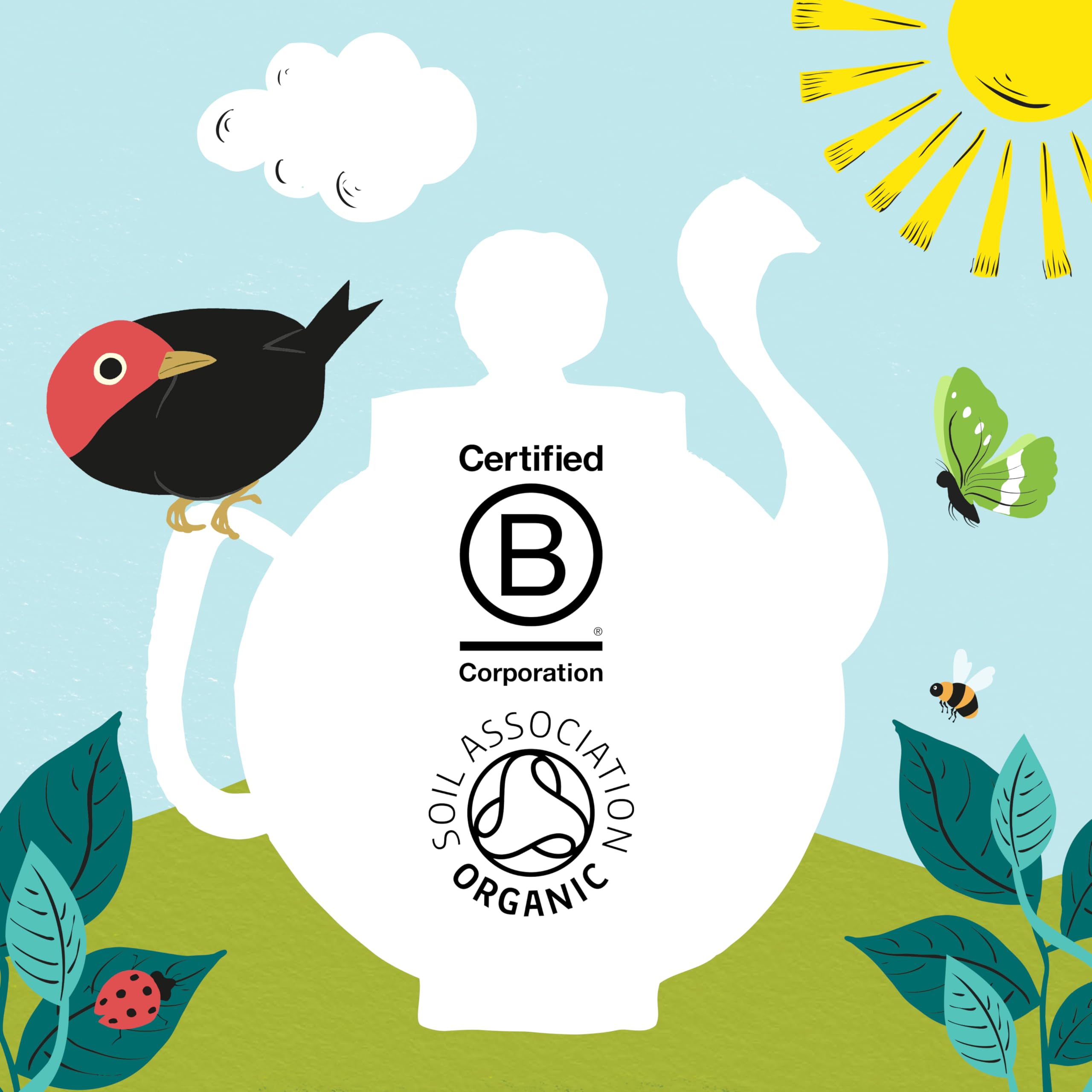 Clipper Organic After Dinner Mint & Fennel Infusion Tea Bags | 20 Unbleached Tea Sachets 3