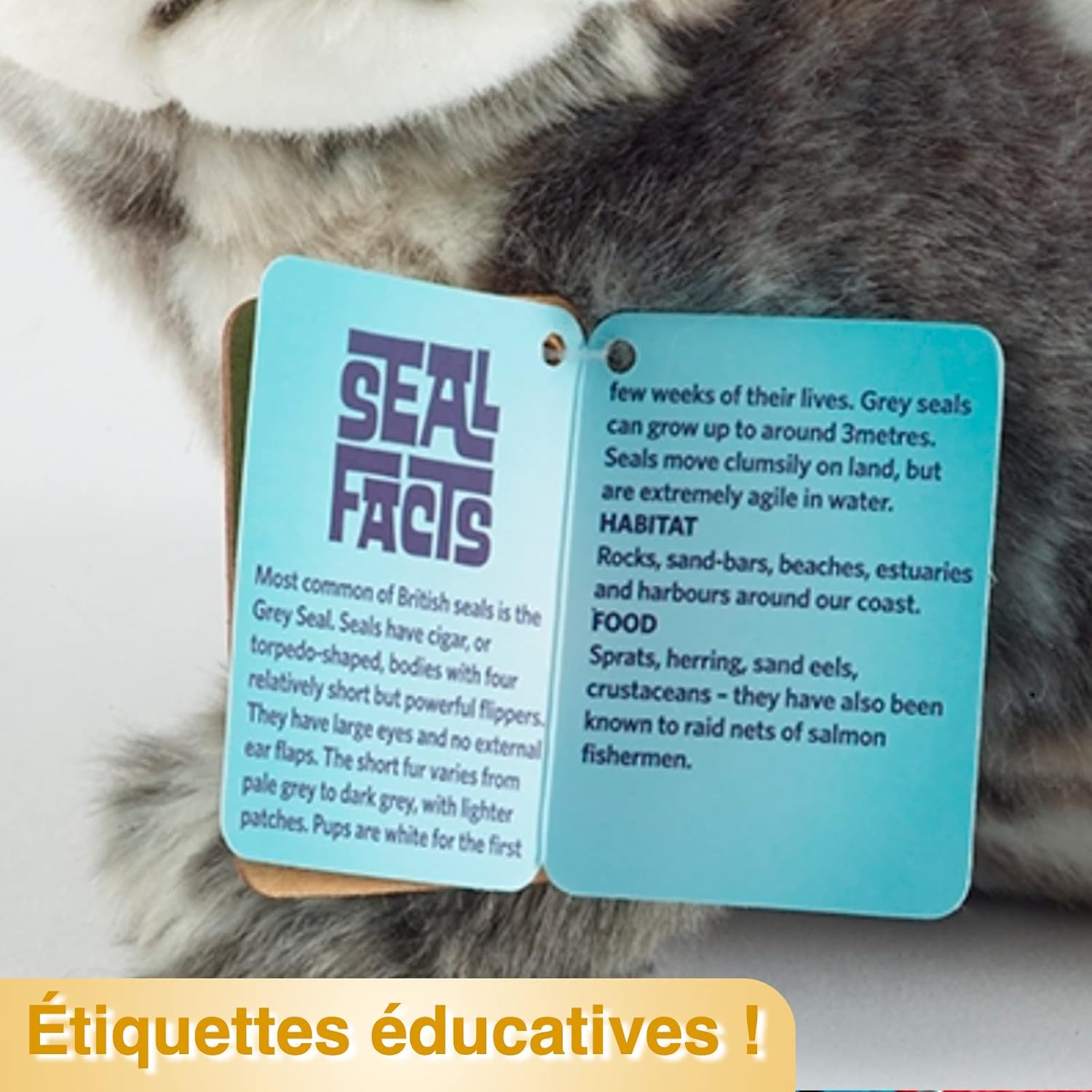 Living Nature Common Seal Pup Plush Toy - Realistic Soft Stuffed Animal with Educational Fact Tag 5