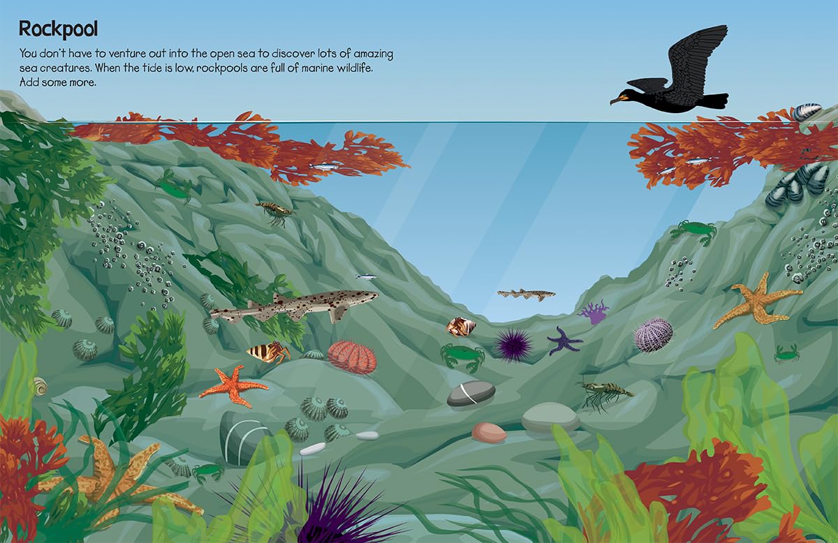 Two Windmills Limited 555 Under the Sea Sticker Fun | Paperback | Ages 5-7 4