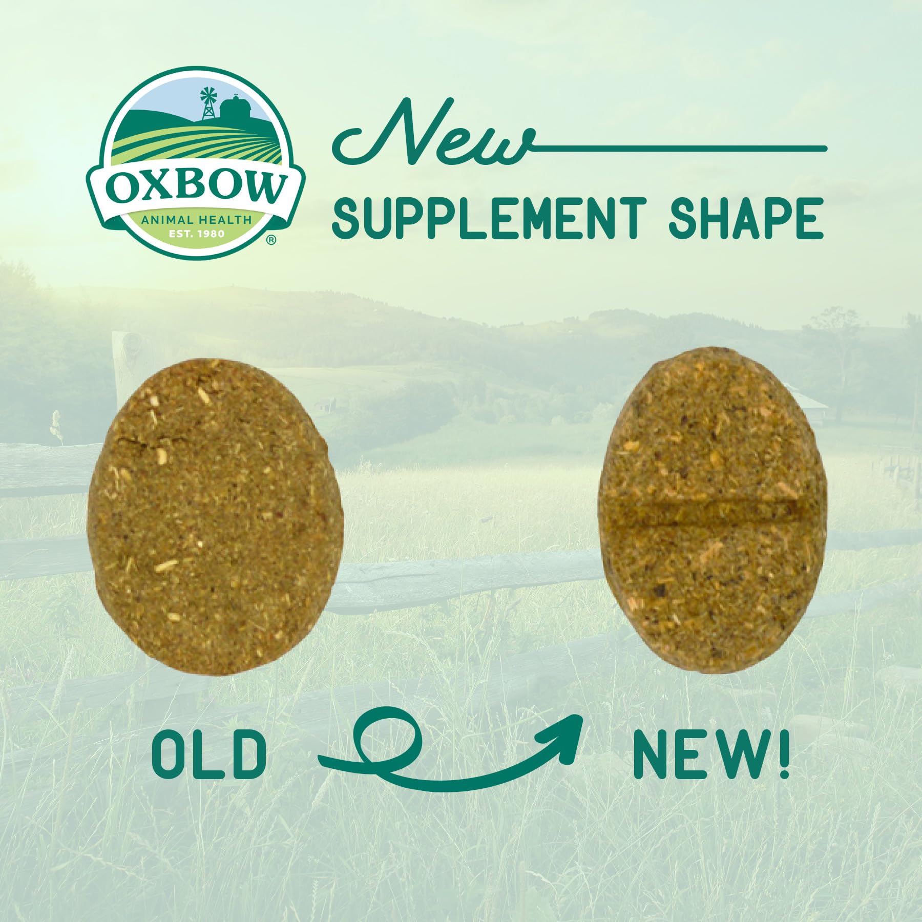 Oxbow Natural Science Joint Support Supplement for Small Animals | Glucosamine & Turmeric | 119g 7