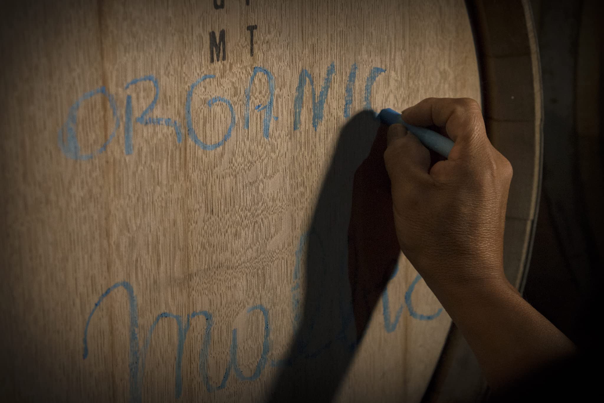 Quinde Reserve Organic Malbec Wine by Bodegas Vinecol - 75cl