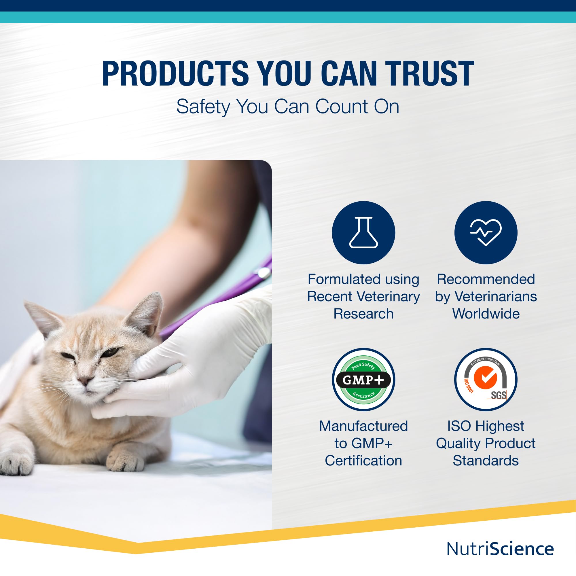 NutriScience Lysine Aid Cat Gel - Immune Support for FHV-1 Symptoms | 50ml 8