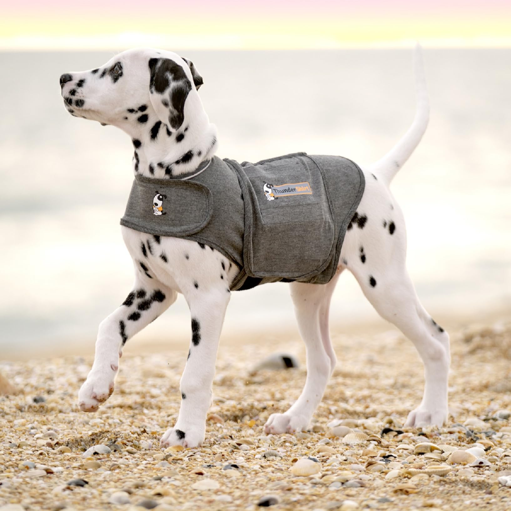 Thundershirt Anxiety Coat for Dog - Calming Pressure Wrap | Size M | Heather Grey 7