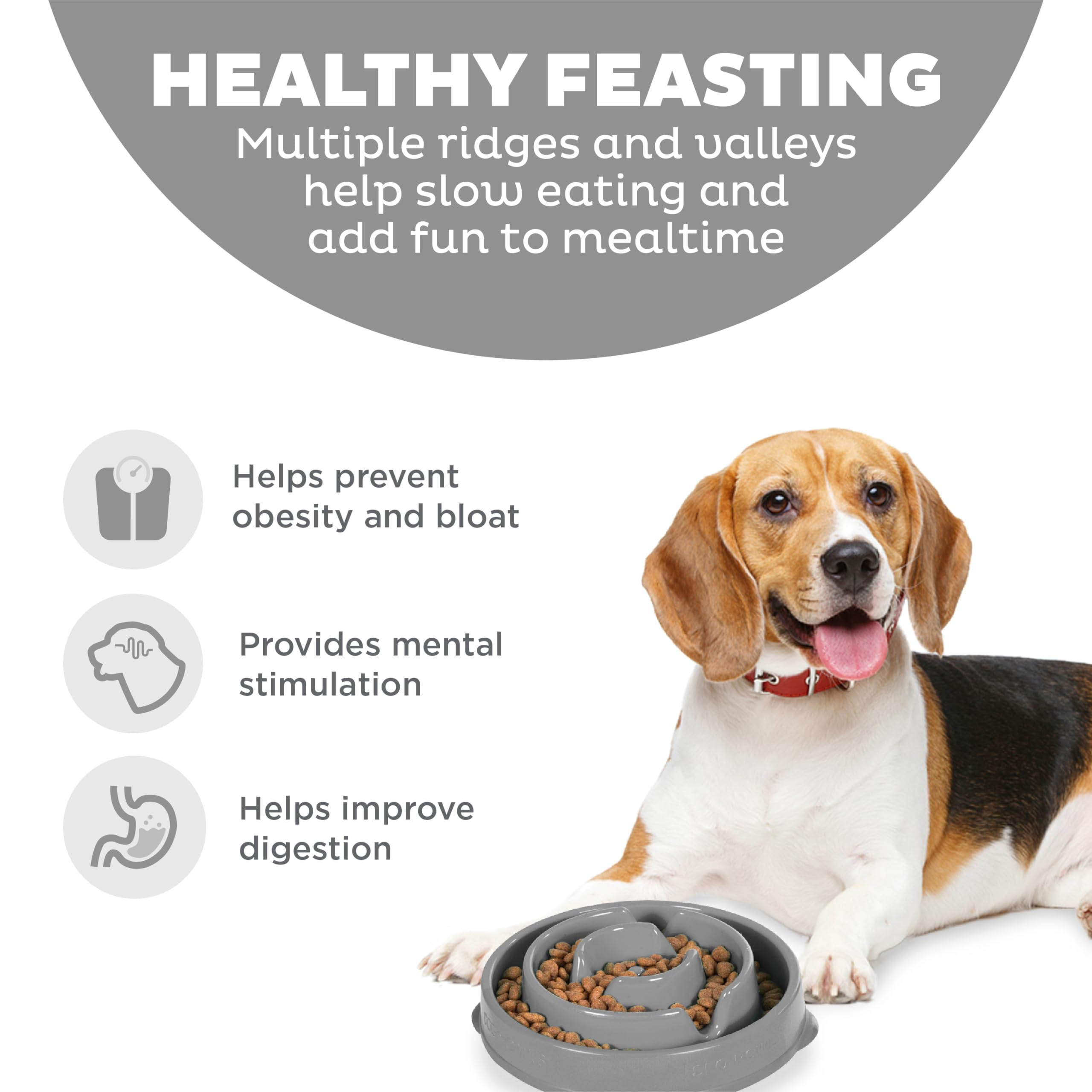 Outward Hound Slow Feeder Dog Bowl - Reduces Bloat, Improves Digestion | Medium, Grey