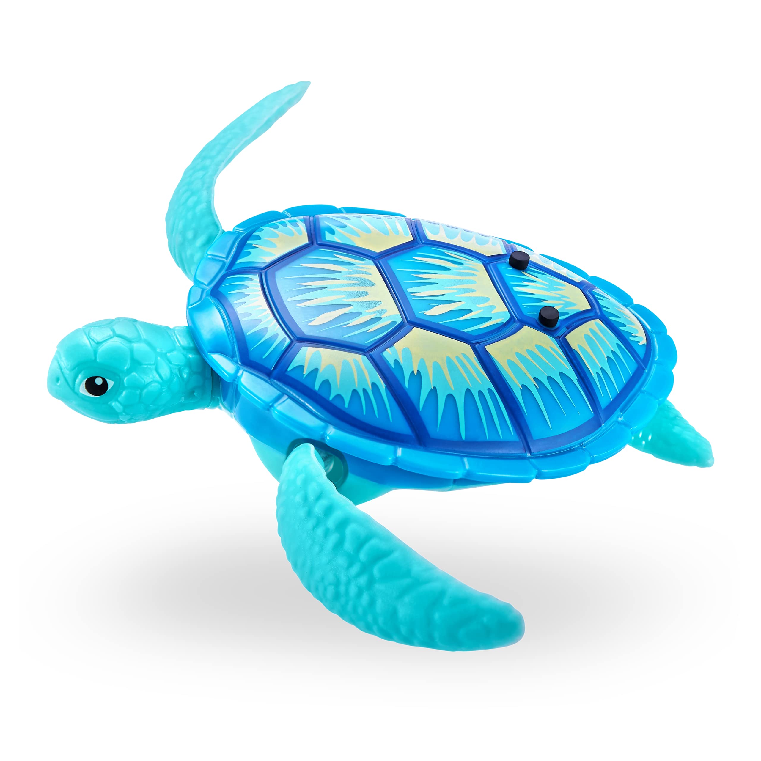 Robo Alive Robo Turtle Swimming Toy - 2 Pack (Orange & Blue) | Robotic Water Toy for Kids 3+