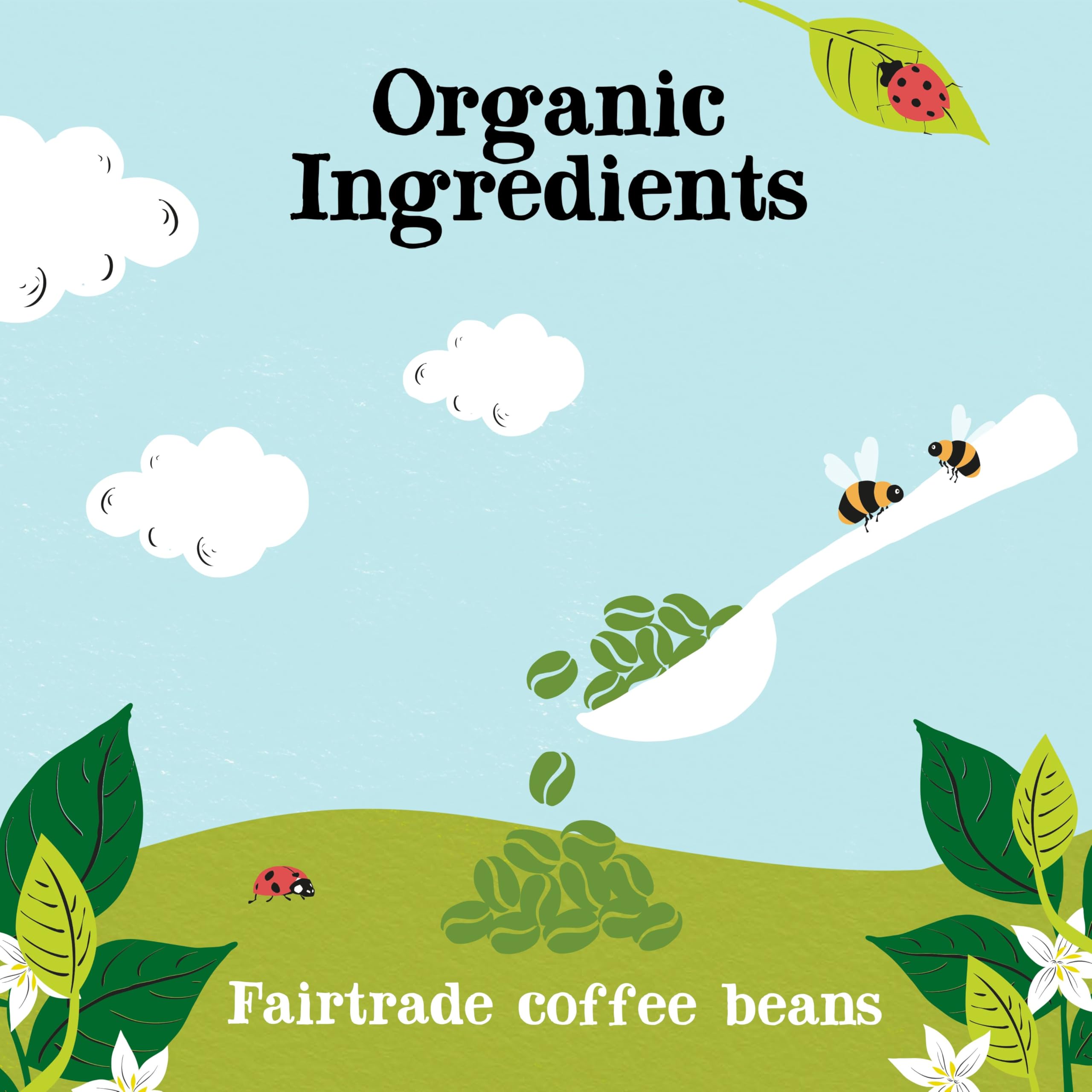 Clipper Organic Decaf Instant Coffee - 6x 100g Jars Medium Roast Arabica