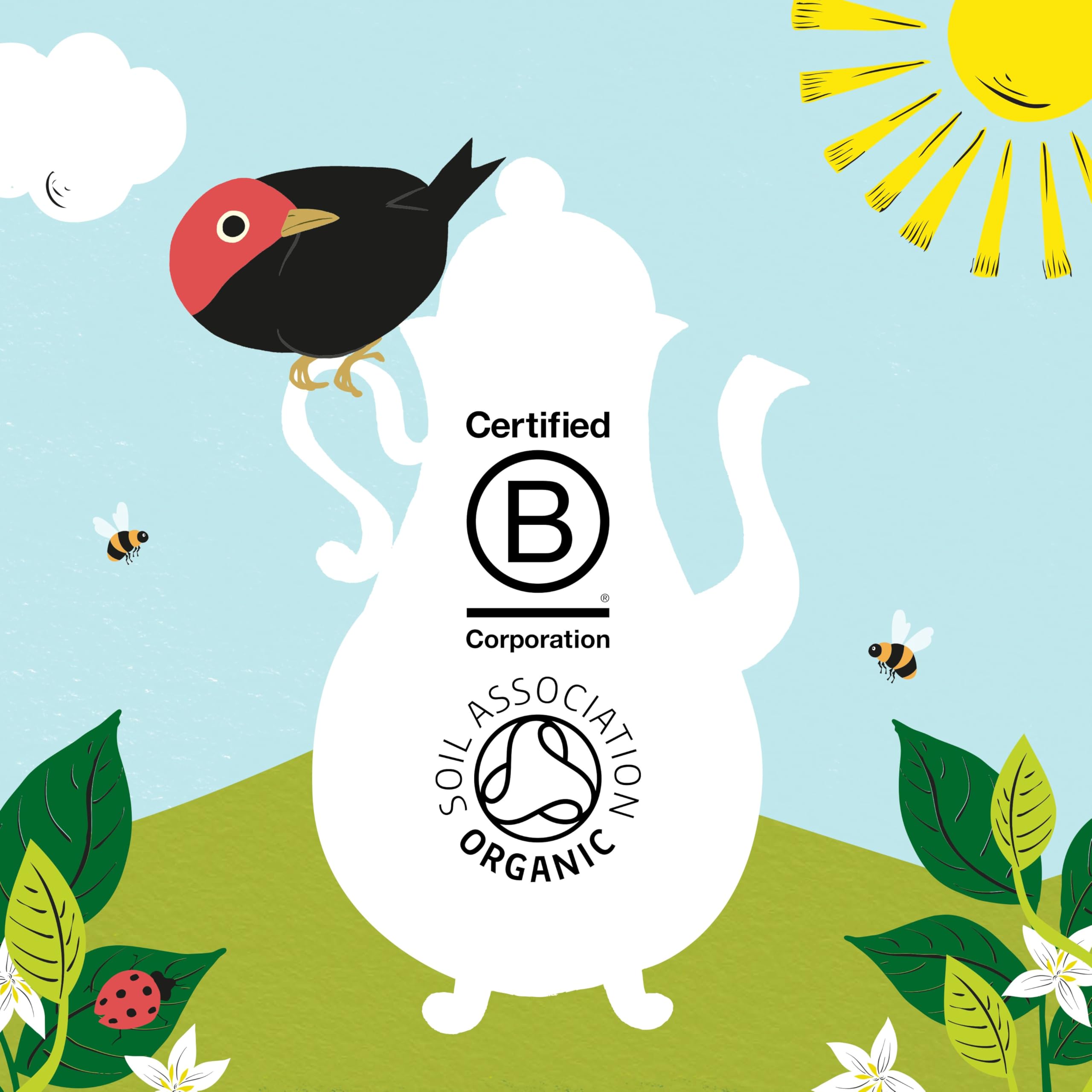 Clipper Bio-Instantkaffee, koffeinfrei, 6 Gläser à 100 g, mittelstark gerösteter Arabica 3