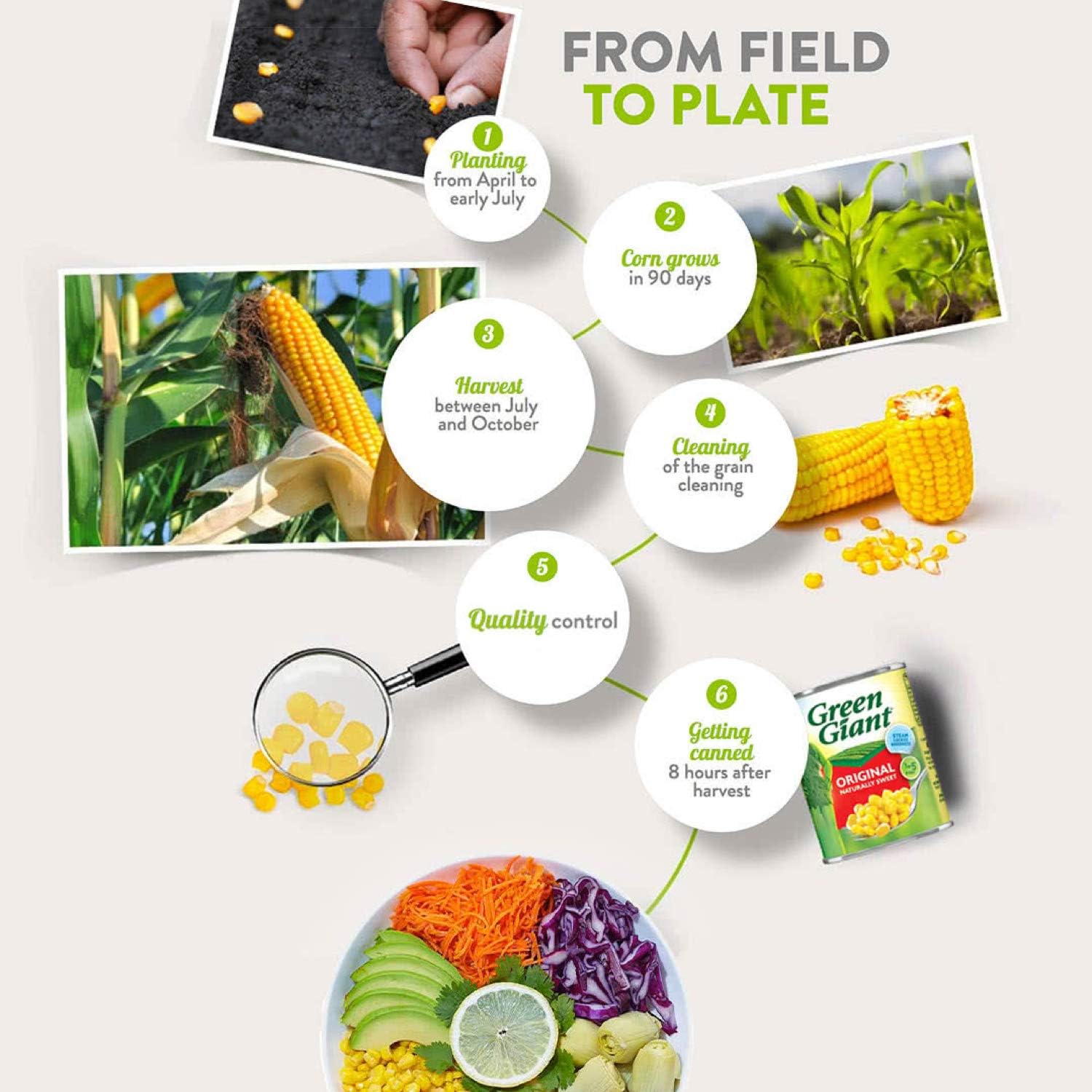 Green Giant - Original Sweetcorn 340g Tinned Corn with No Added Ingredients 11