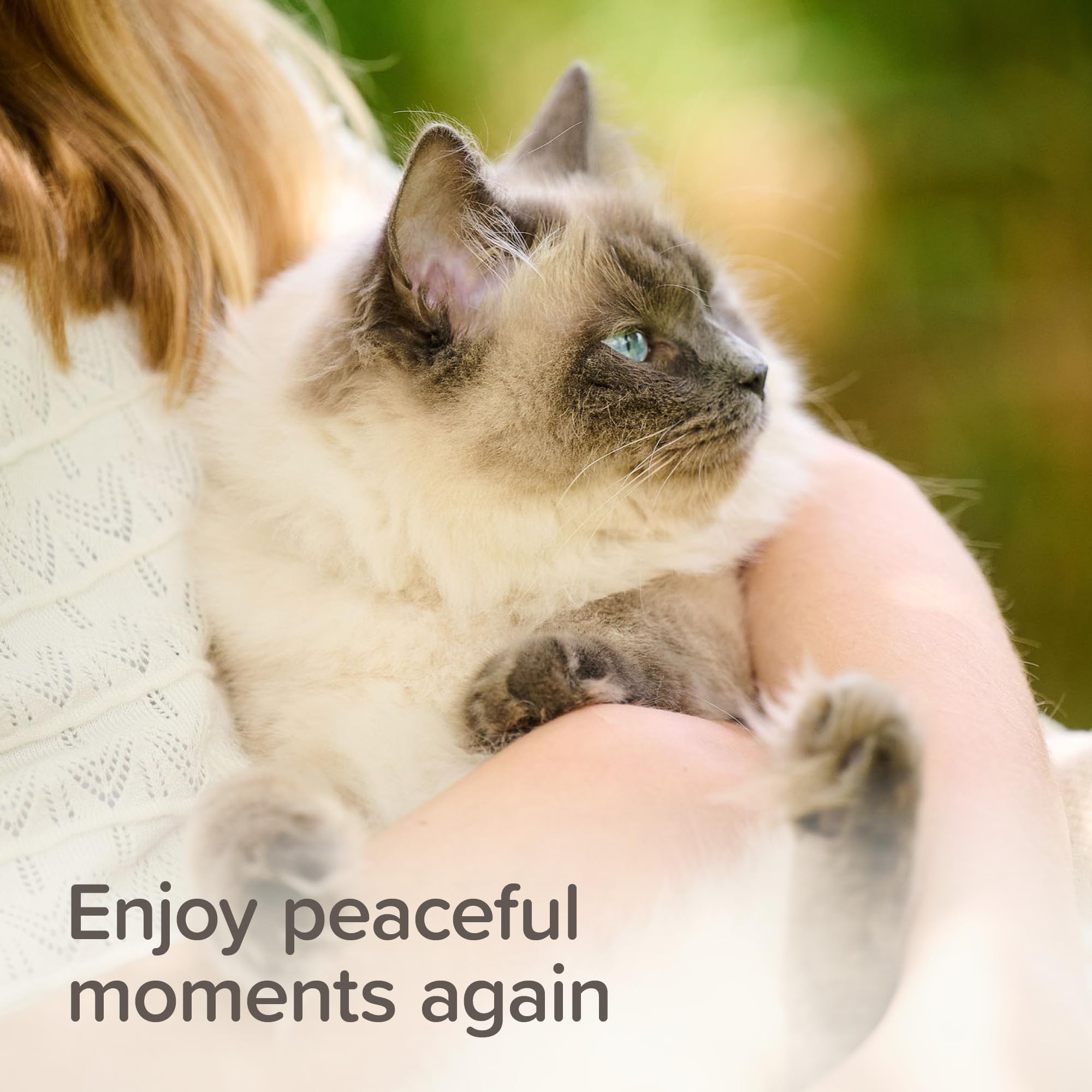 Beaphar StressLess Herbal Calming Spot-On for Cats - 3 Pipettes | Up to 1 Week Relief Per Application 7