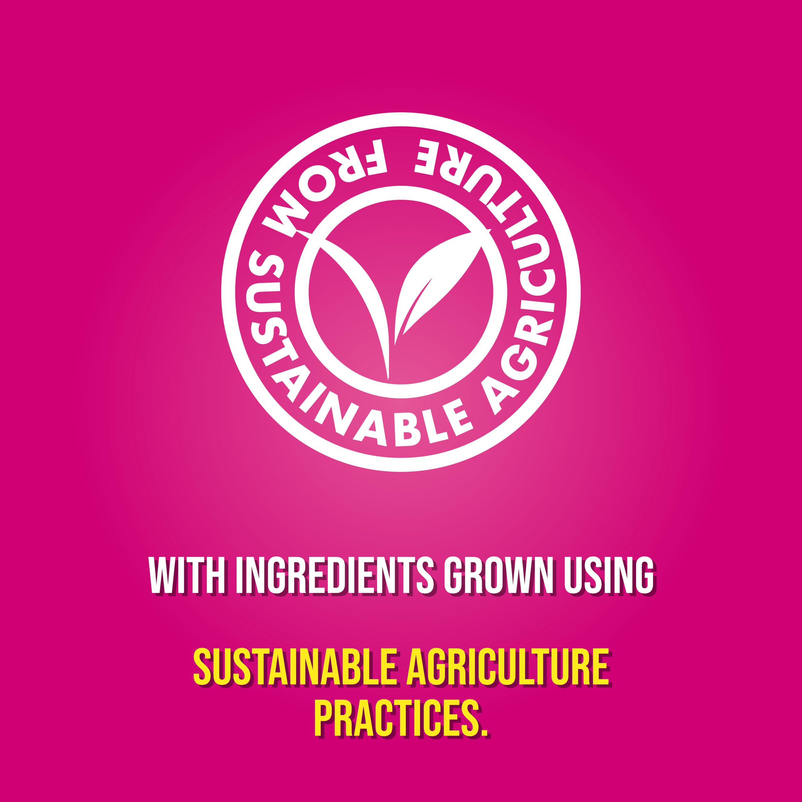 Pot Noodle - Piri-Piri Chicken Instant Noodle Snack, 80g