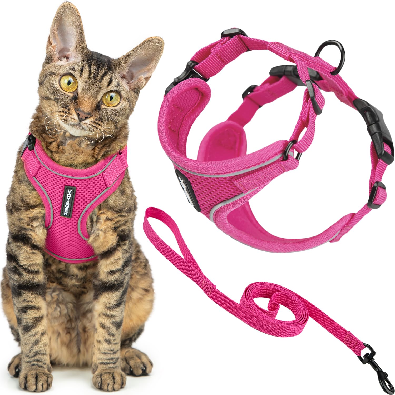 Best Pet Supplies Voyager Escape Proof Cat Harness and Leash Set - Reflective Stitching, 5ft Leash, Fuchsia, Size M (Chest: 16.5-19.5')