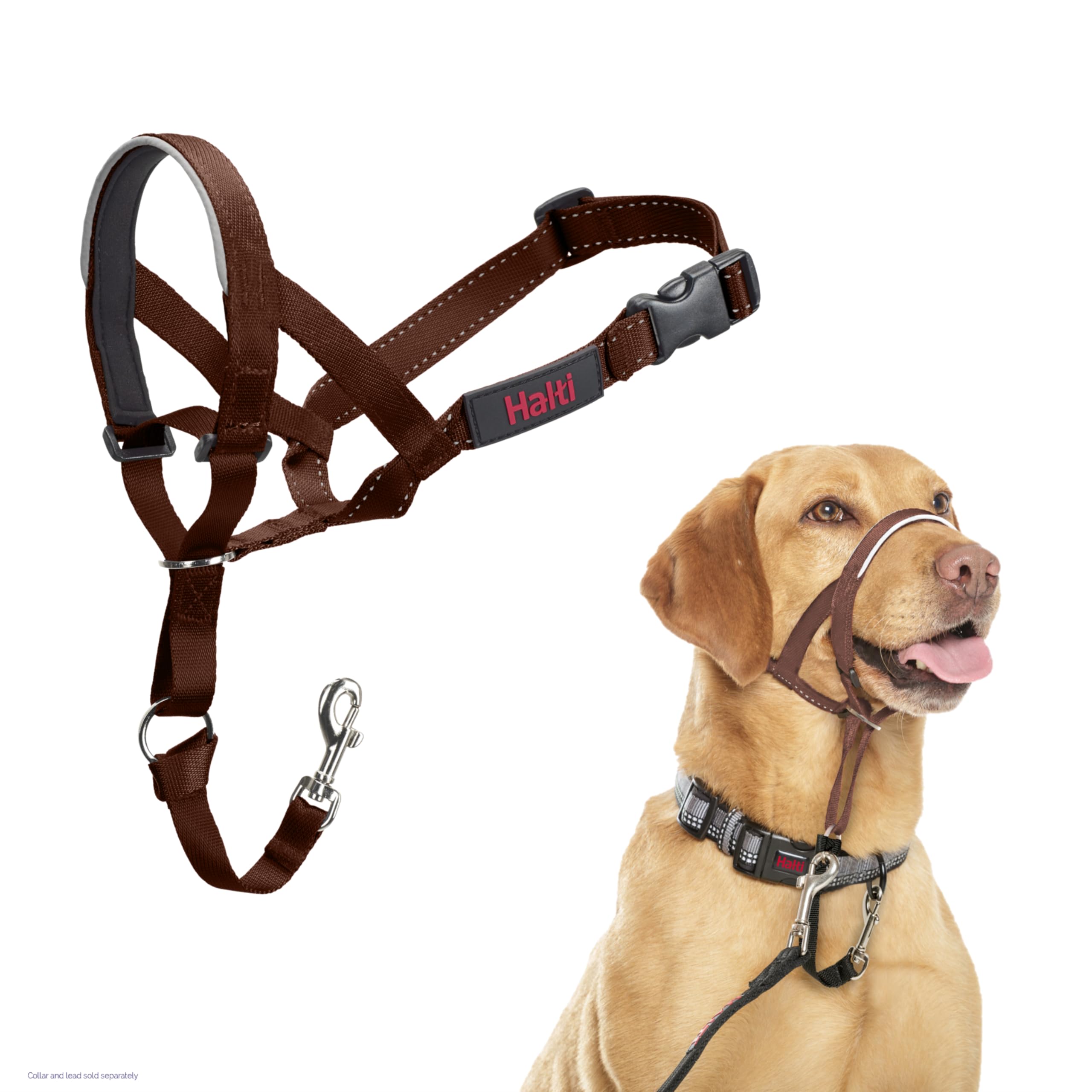Halti Headcollar - Stop Pulling for Medium Dogs | Size 3, Deep Walnut, Reflective