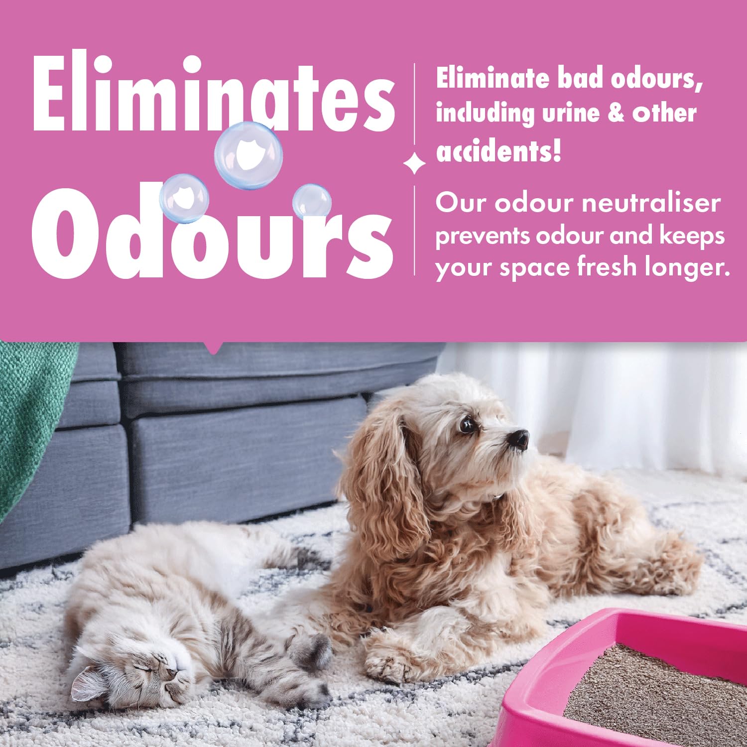 Dirtbusters - Pet Pro Carpet Cleaner Shampoo (1 Litre Concentrate) 12