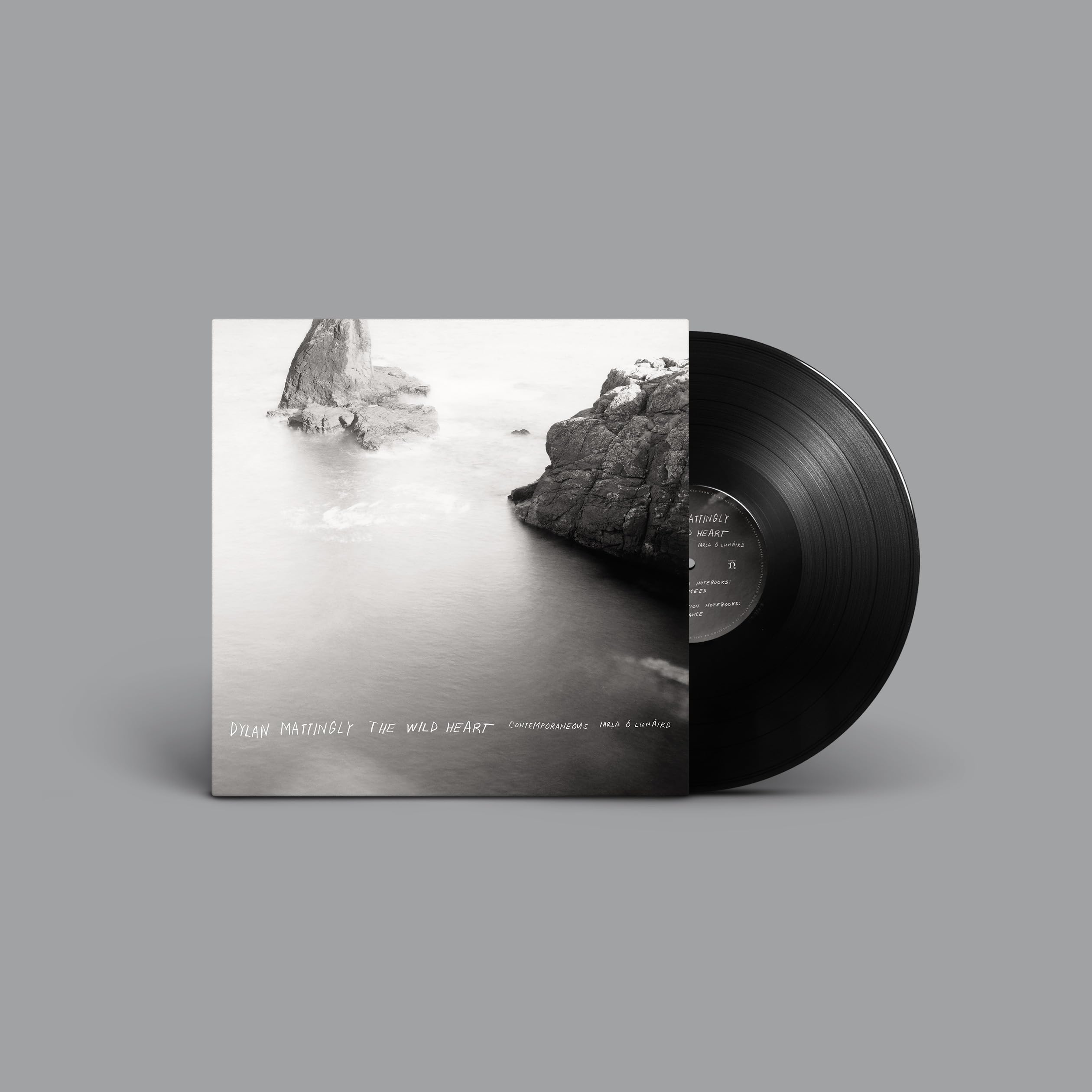 Dylan Mattingly - The Wild Heart [VINYL]