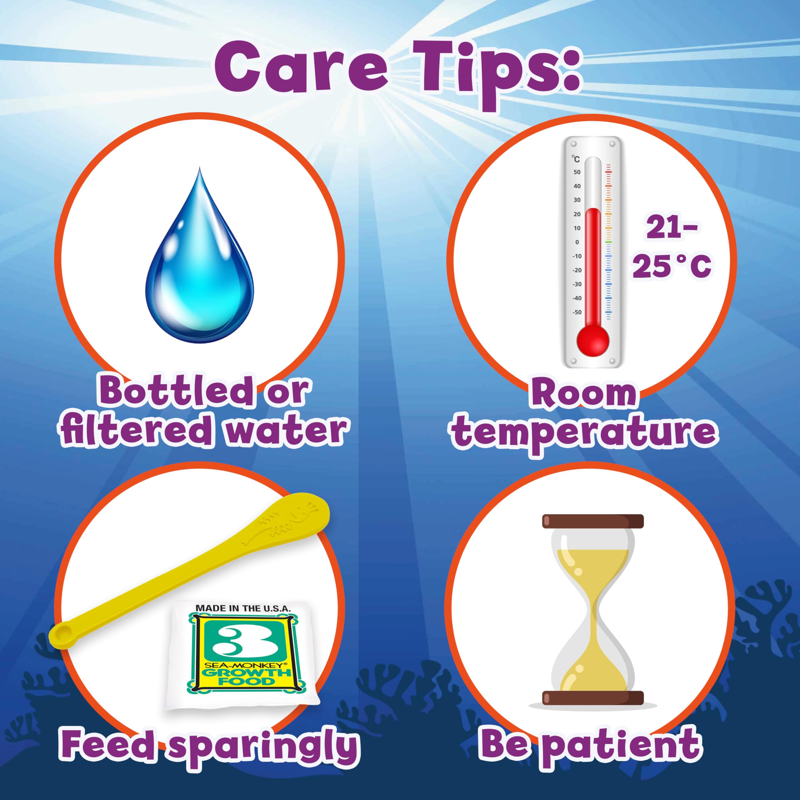 Sea Monkeys Ocean Zoo – Pädagogisches Wissenschaftsset für Kinder von 5 bis 10 Jahren 25