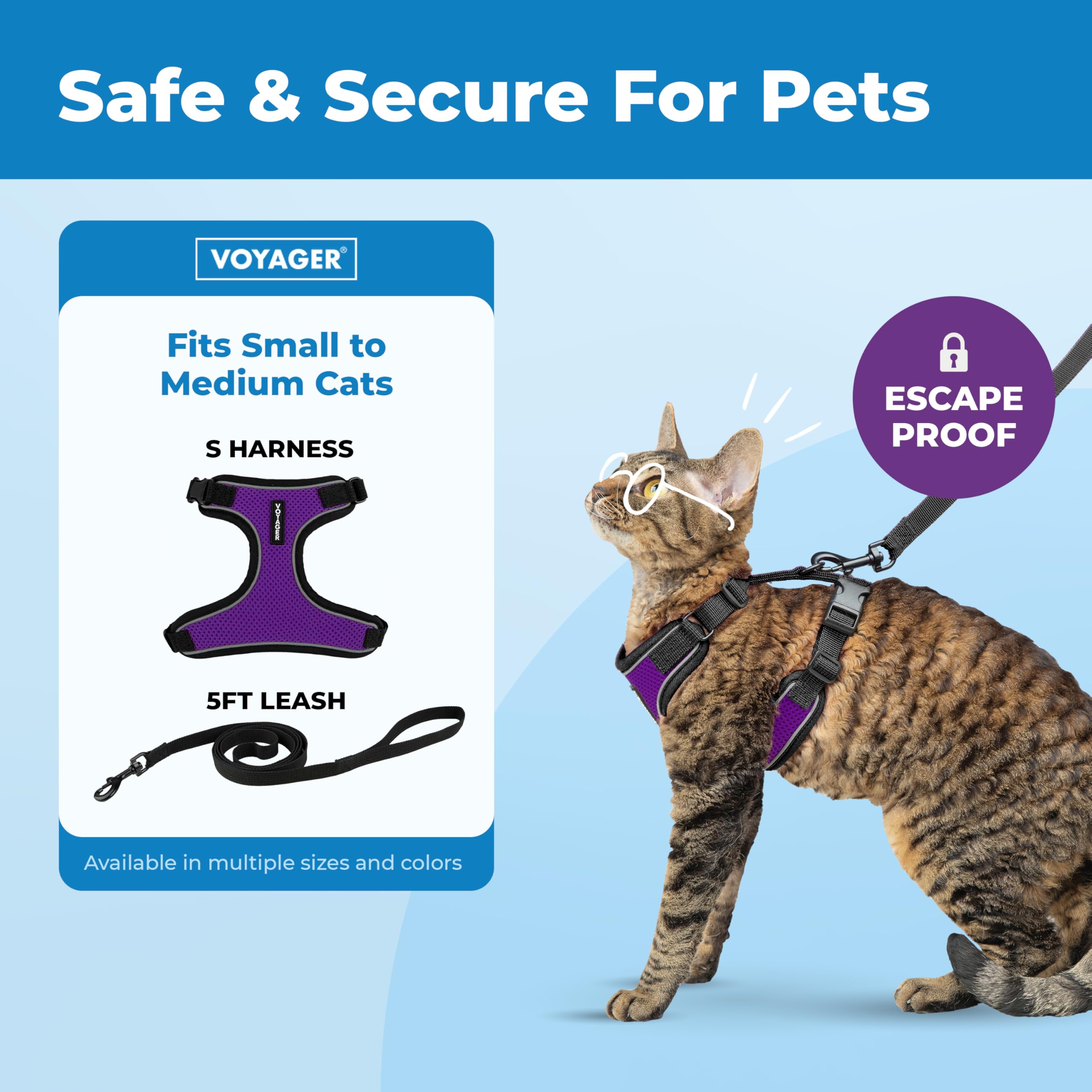 Best Pet Supplies Voyager Escape Proof Cat Harness and Leash Set - Reflective Stitching, 5ft Leash, Adjustable Fit - Black Trim-Purple, Small