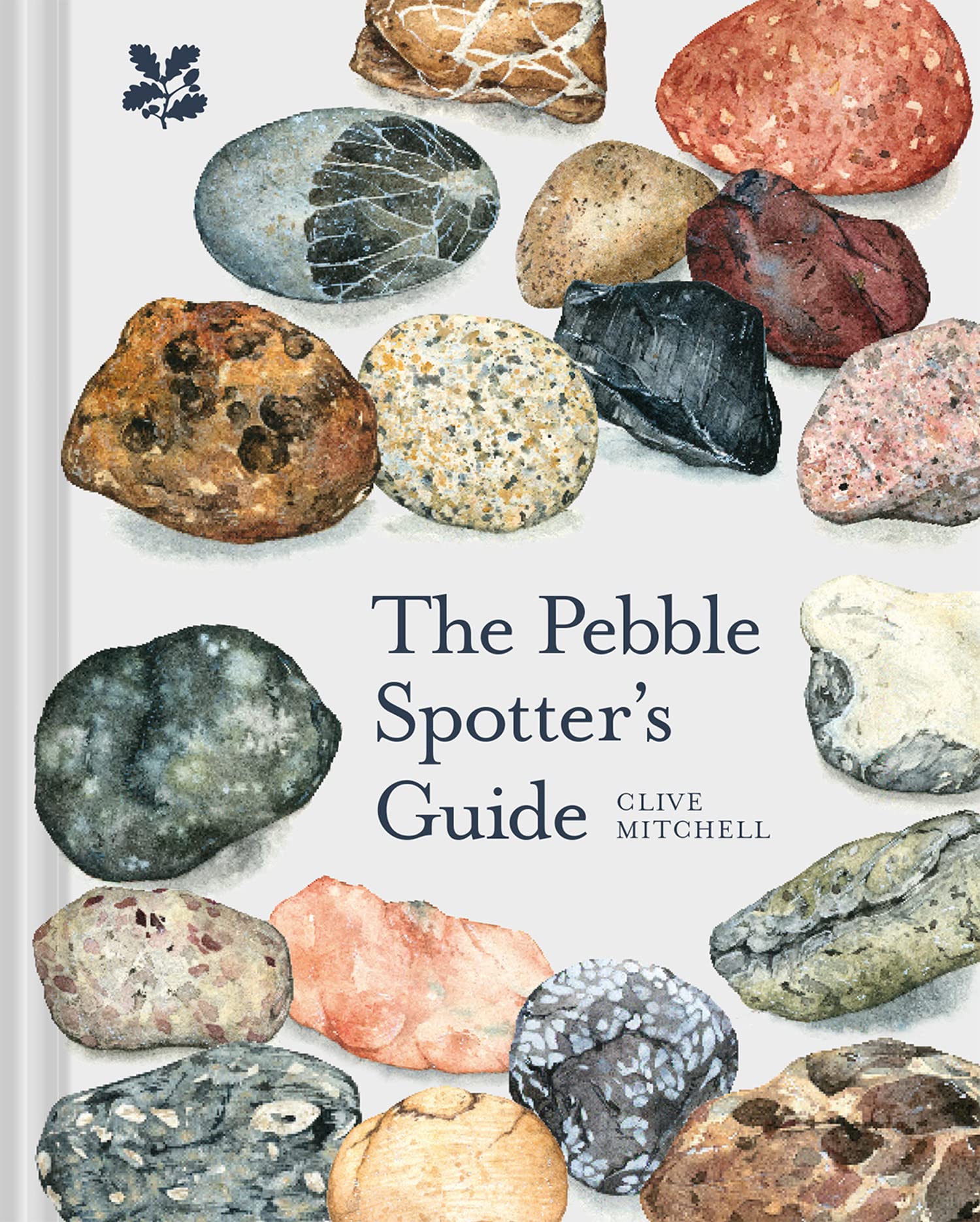 National Trust Books The Pebble Spotter's Guide - Historical Geology Identification | 112 Pages | Hardcover