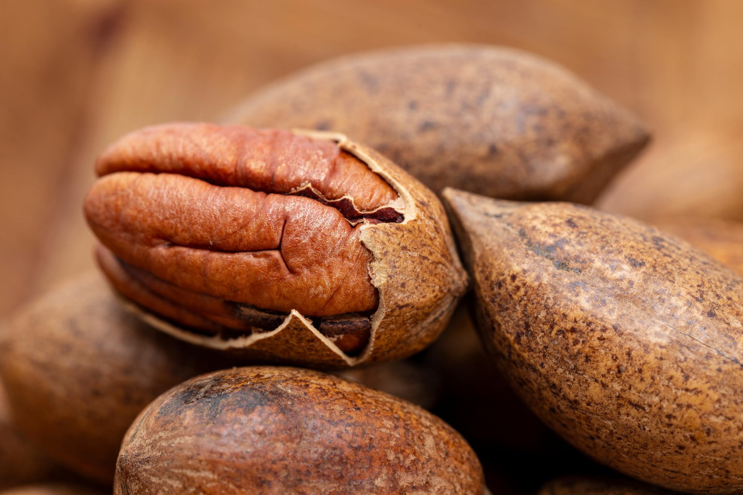 Mundo Feliz - Organic Pecan Nuts 5 x 100 g 4