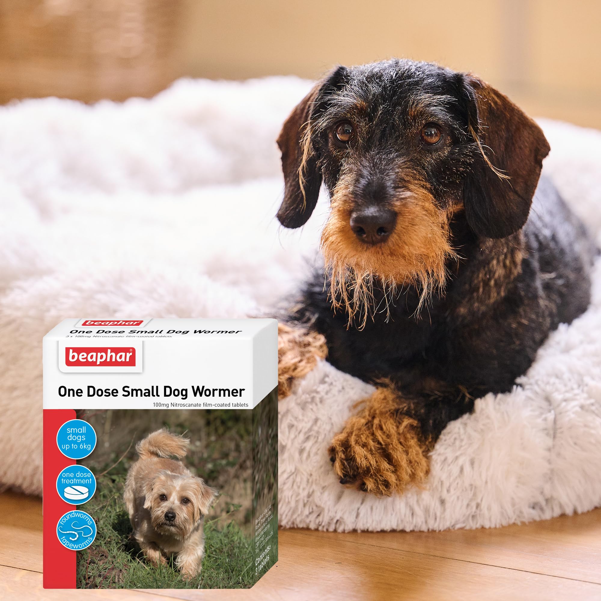Beaphar One Dose Worming Tablets - For Small Dogs Up To 6kg | 3 Tablets 7