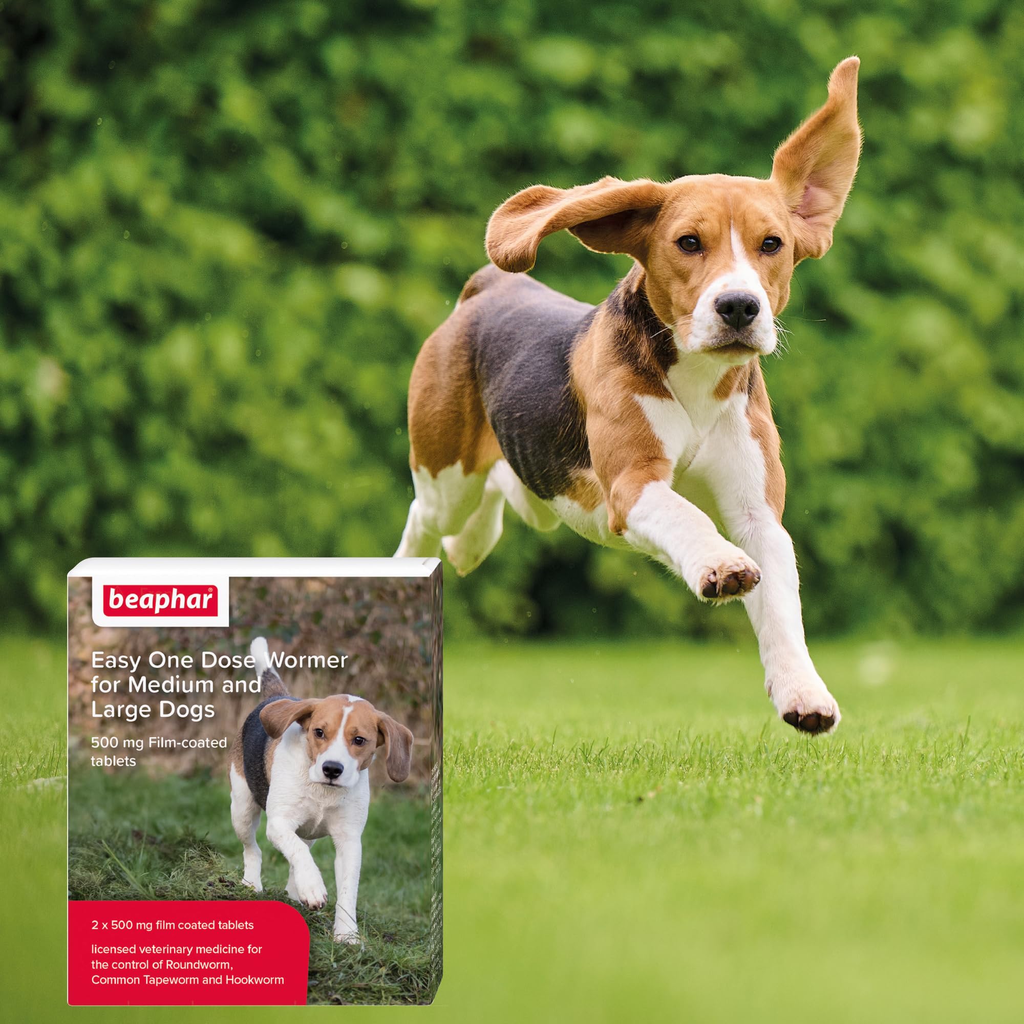 Beaphar Easy One Dose Worming Tablets for Medium & Large Dogs | Kills All Common Intestinal Worms | Nitroscanate 5