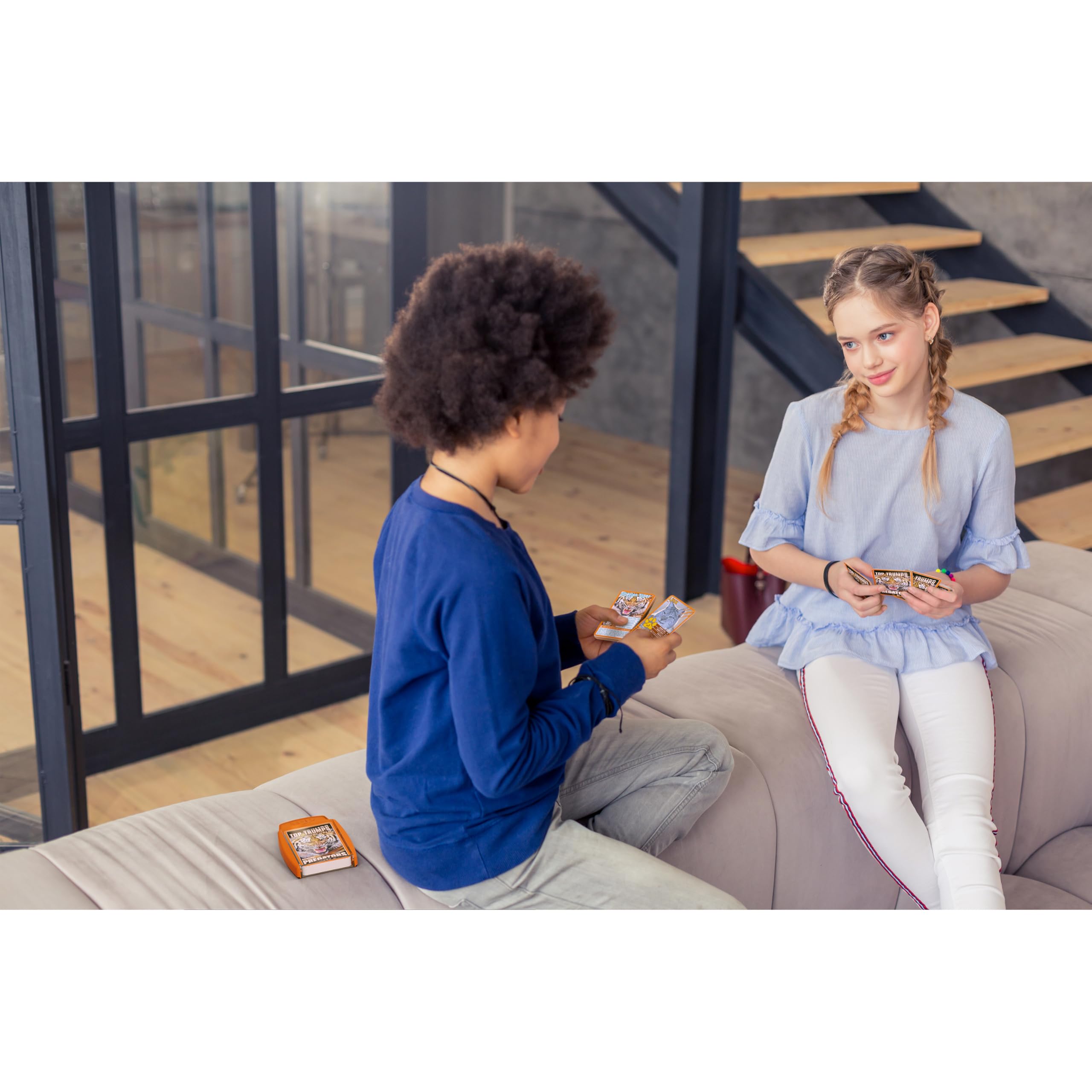 Top Trumps Birds Age 6+ of the World Classics Card Game, Discover some interesting facts in this educational packed game including the blue jay’s wingspan, 2 plus players makes a great gift for ages 6 plus 6