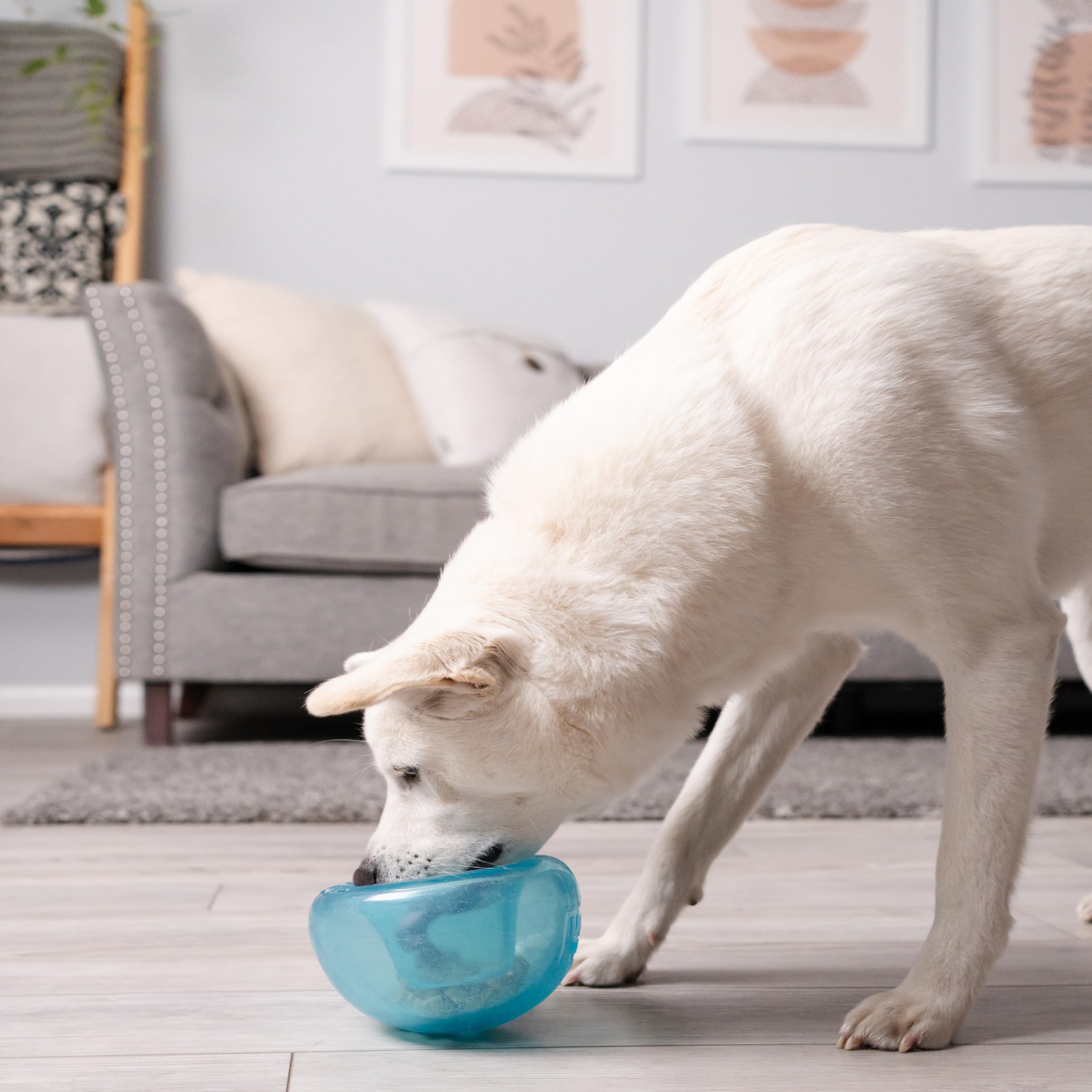 Outward Hound Orbee-Tuff Snoop Interactive Treat Dispensing Dog Toy - Large, Blue, Mint Scented 9