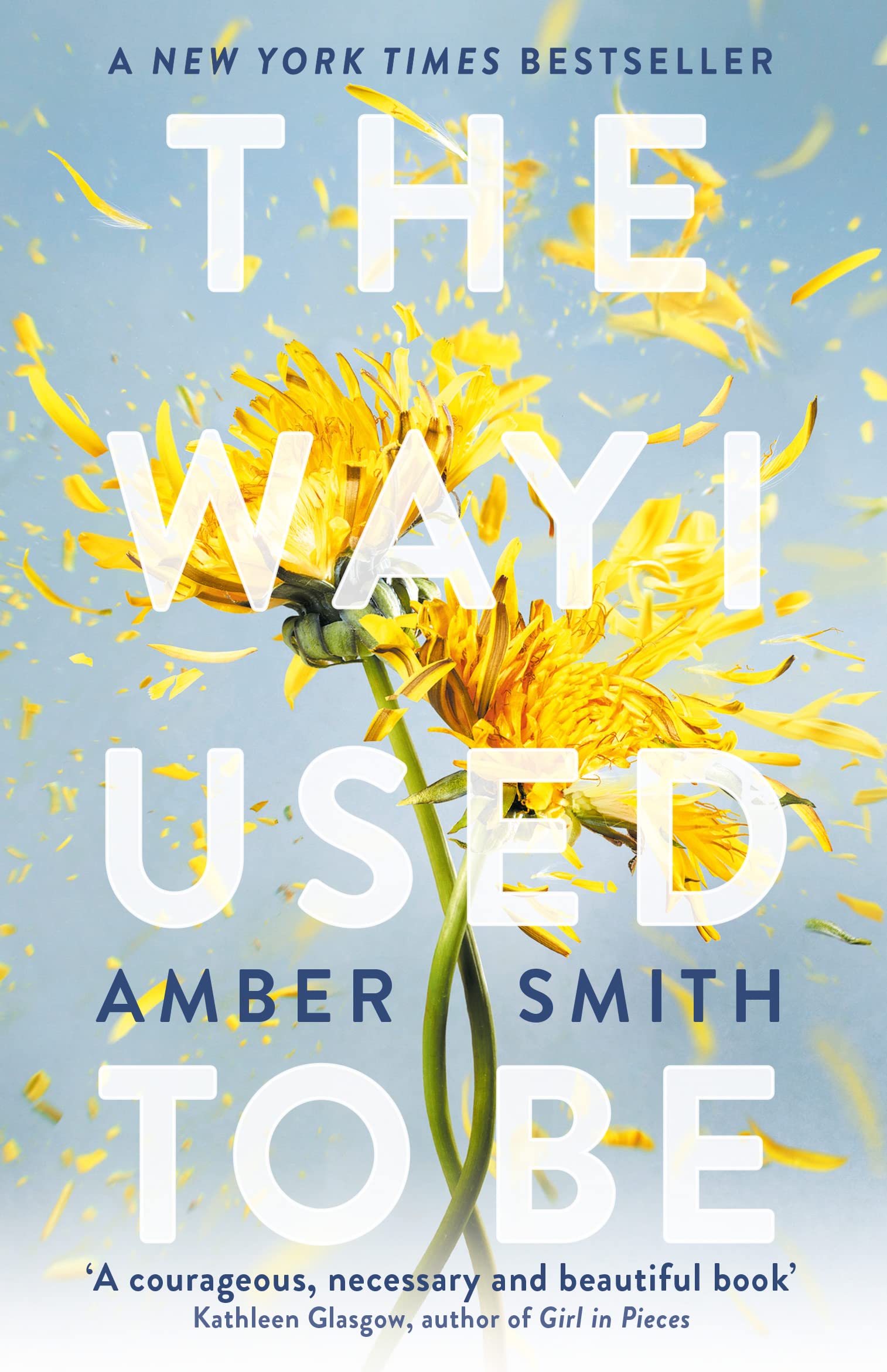 Amber Smith - The Way I Used to Be | Young Adult Literature & Fiction