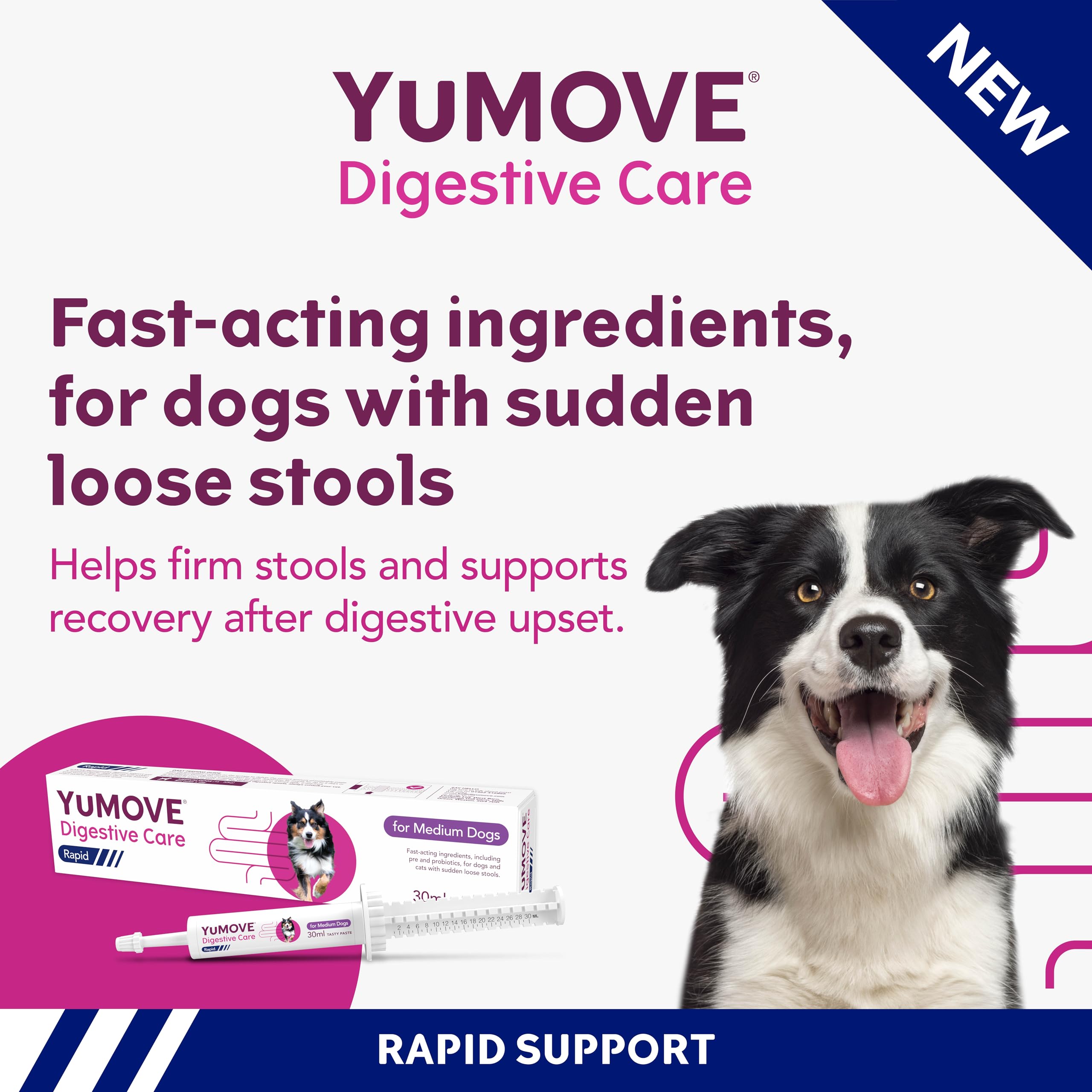 YuMOVE Digestive Care Rapid Dog Pre and Probiotic Paste for Gut Health | 2 Pack | 60ml Total