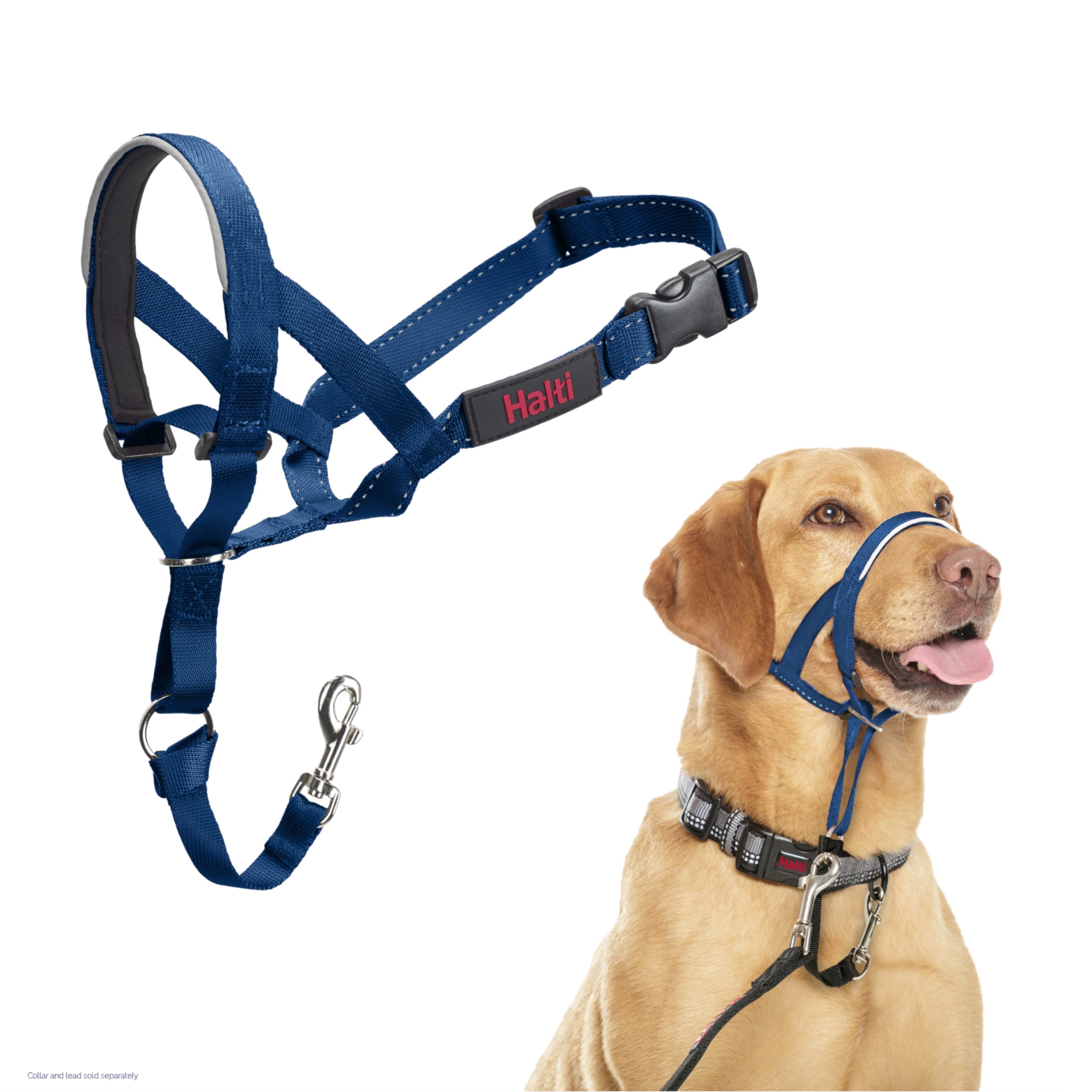 Halti Headcollar - Stops Pulling for Dogs | Size 3 Cobalt Blue | Reflective Nylon