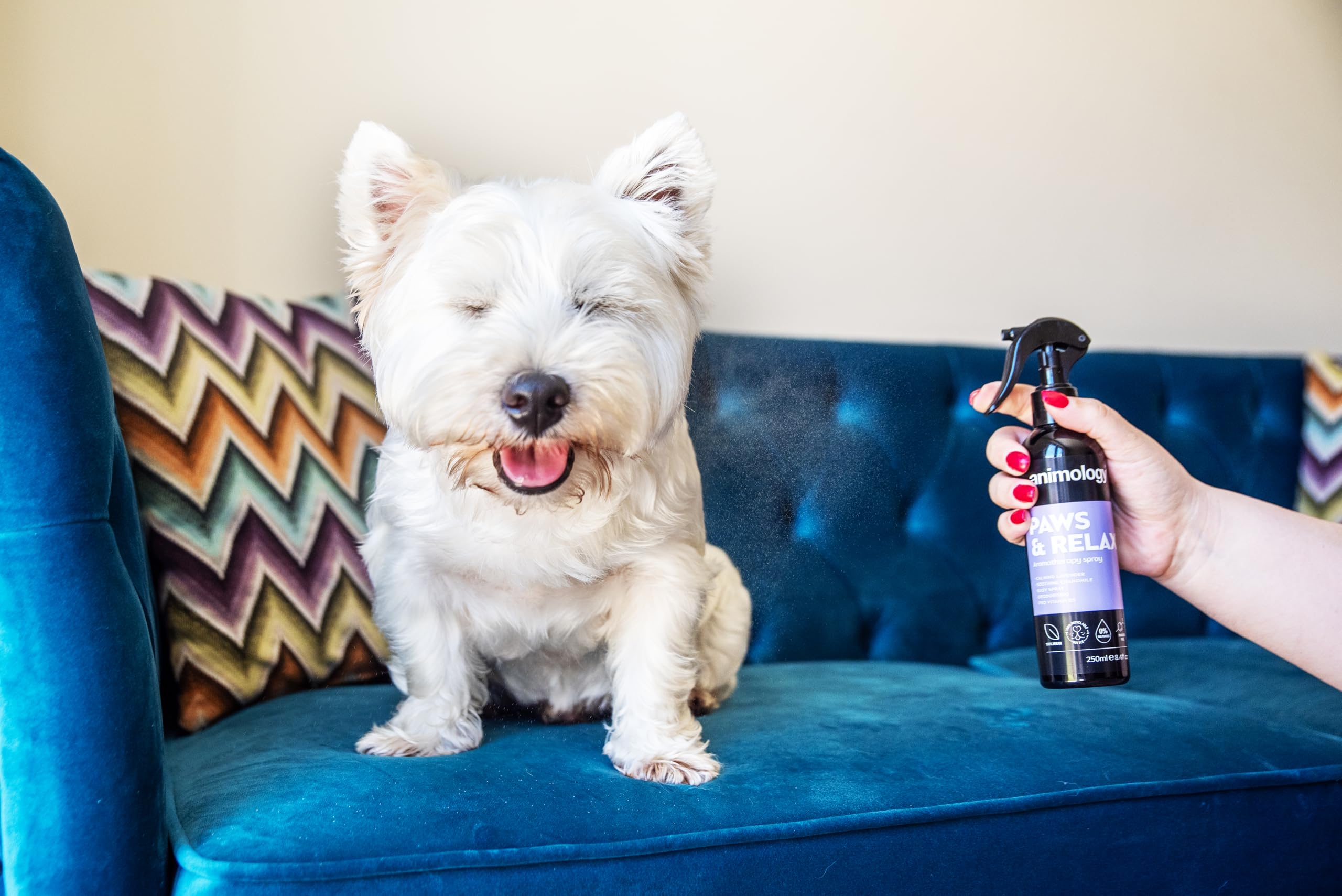 Animology Paws & Relax Aromatherapy Dog Spray - Calming Lavender & Chamomile Scent | 250 ml 5