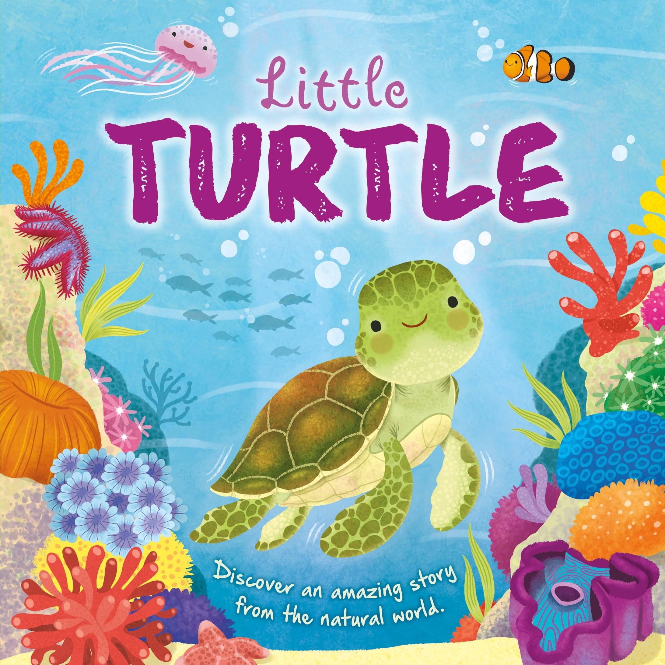 Autumn Collection of 8 Nature Stories 2 | Children's Illustrated Paperback | Reading Age 1-5 5