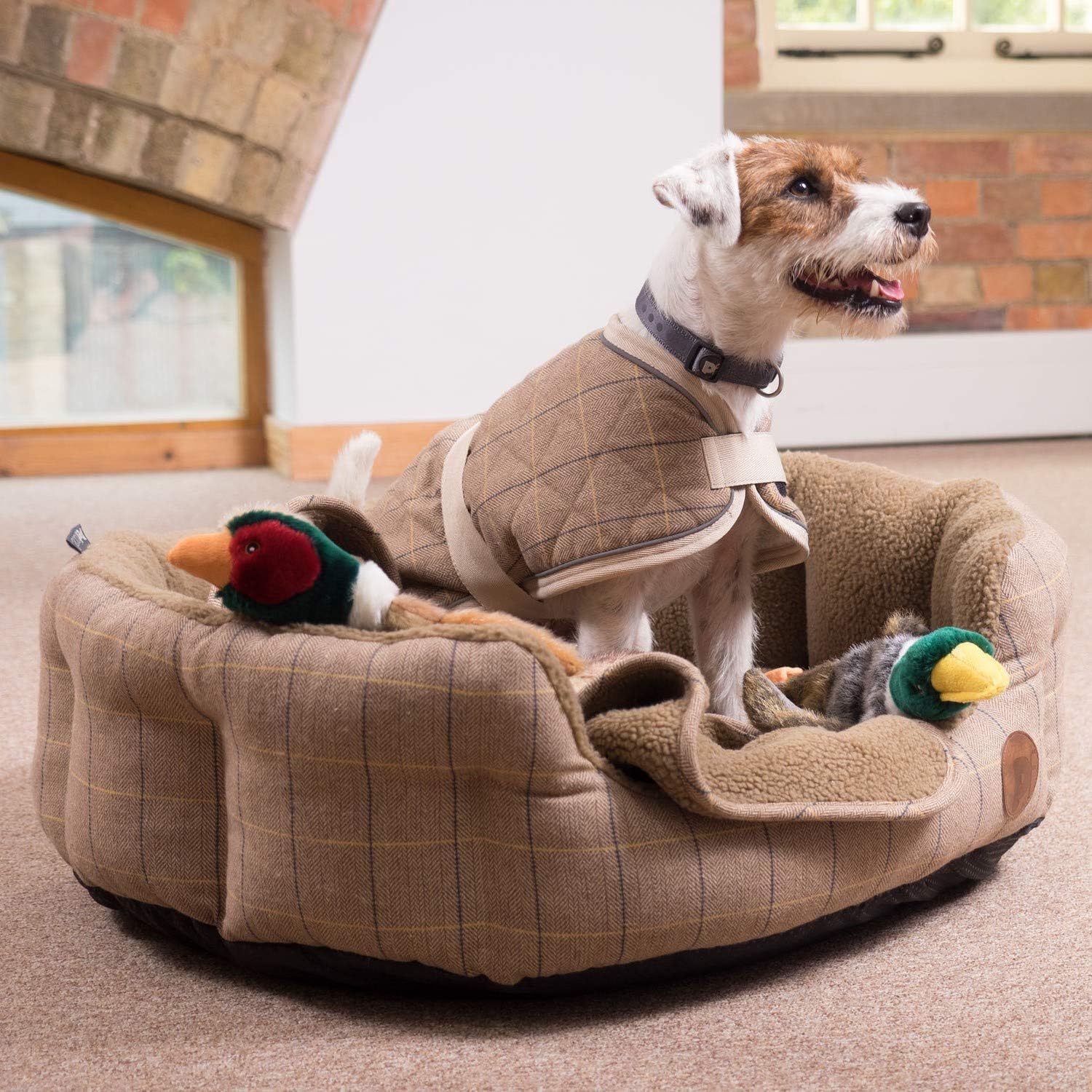 Petface Luxury Multi Squeak Pheasant Dog Toy | Plush Fur Material | Medium & Large Breeds 6