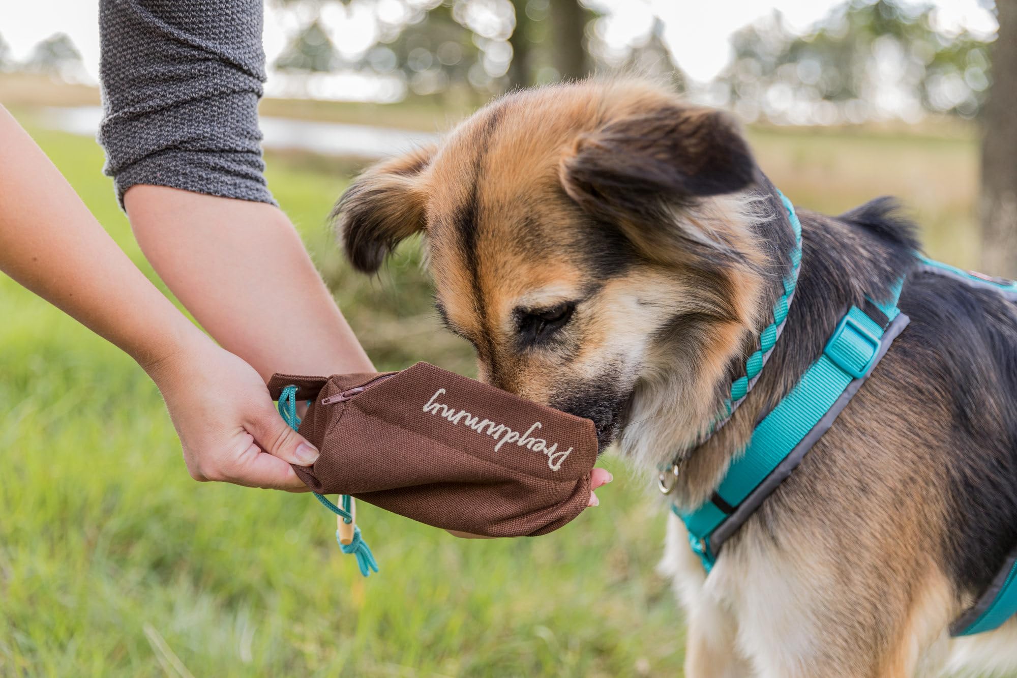 Trixie Dog Activity Preydummy - Versatile Training Aid | 6 x 14 cm | Brown 3