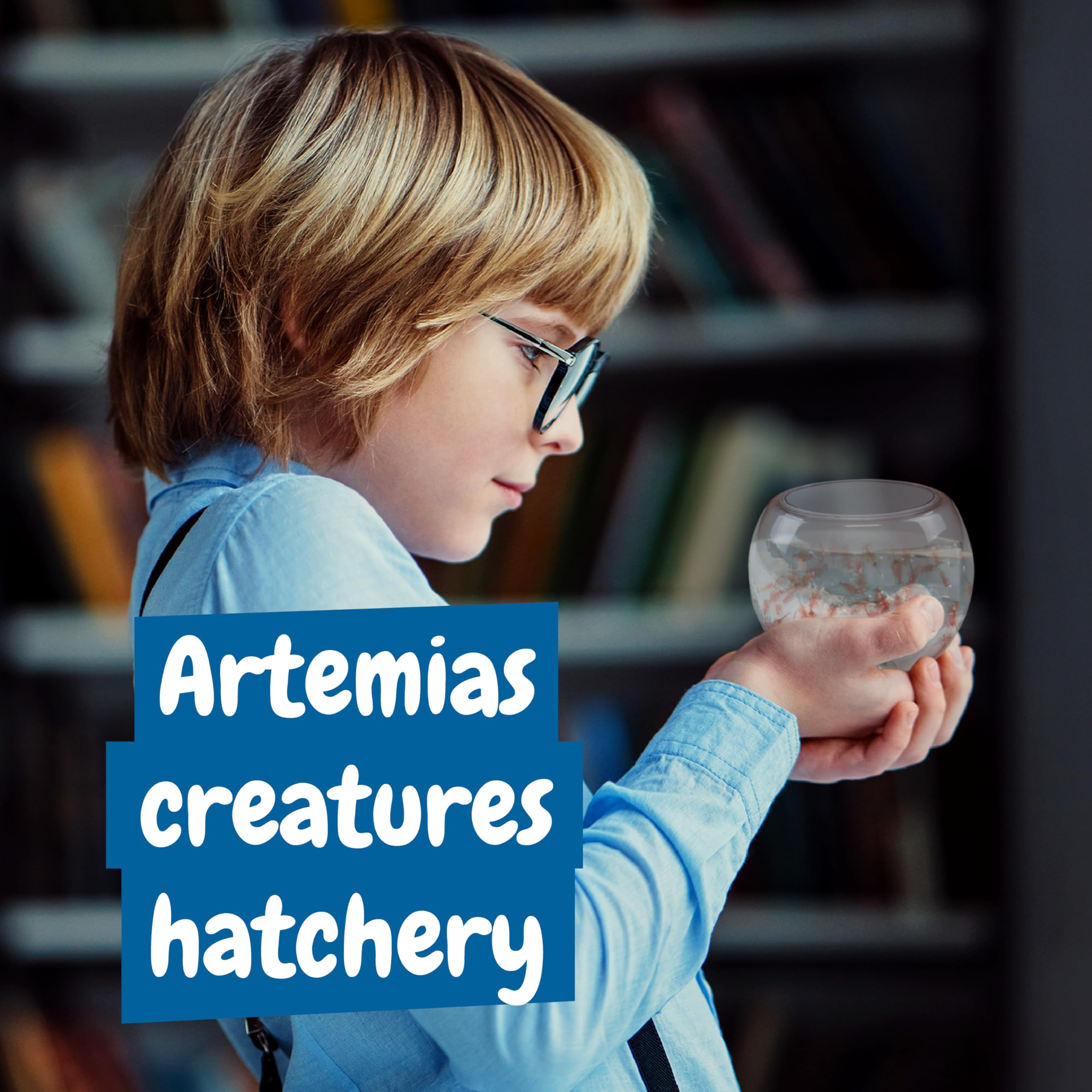 Science4you Jurassic Sea Creatures - Create an Artemia Ecosystem for Kids 6+ 4