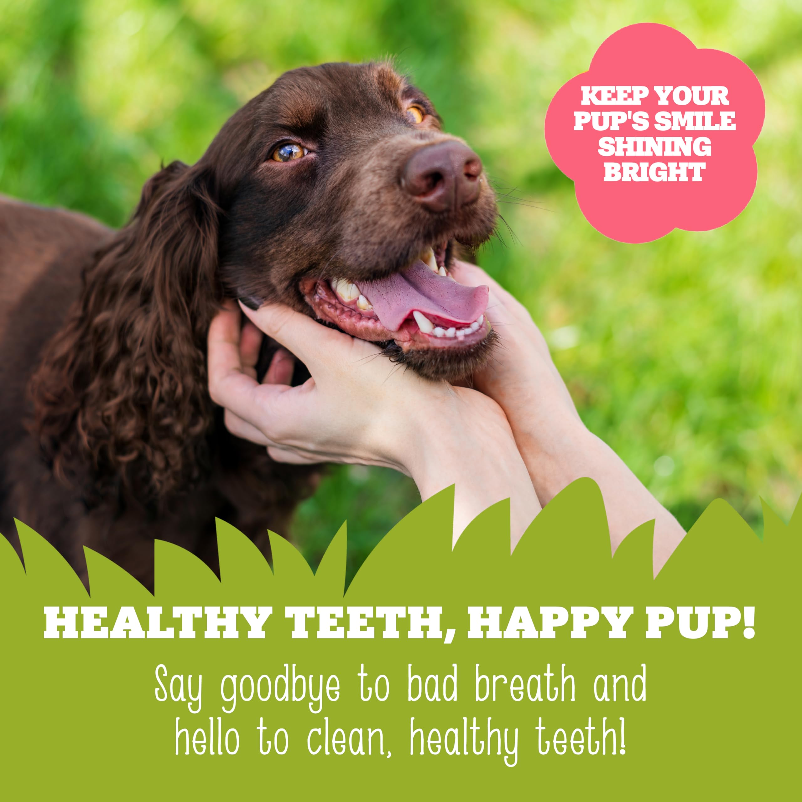 Soopa MINI Dental Sticks - Banana & Pumpkin Flavor | 100g Bag | Hypo-Allergenic 4