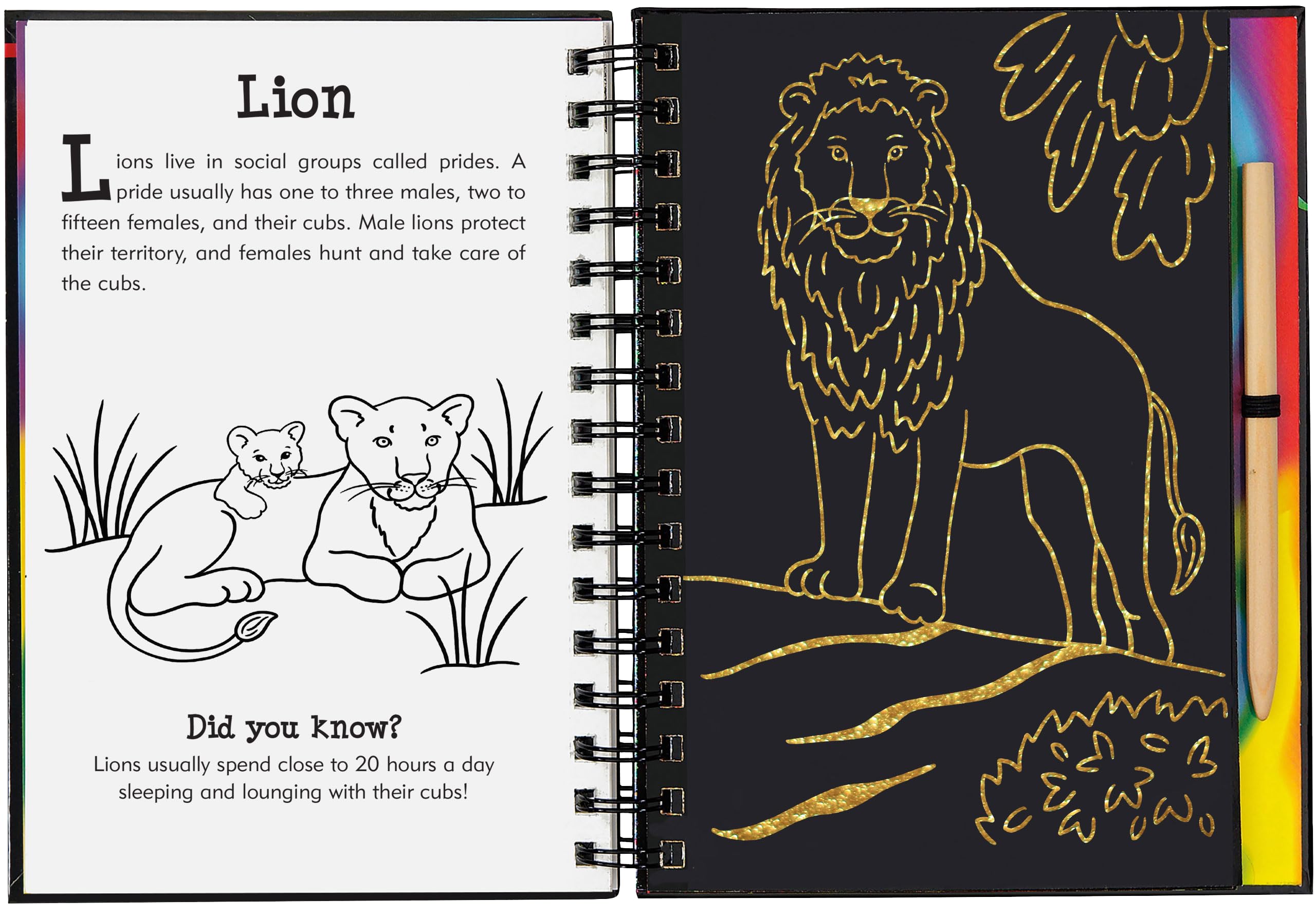 Peter Pauper Press Wild Safari Scratch & Sketch Activity Book - Trace Along, Ages 5-9