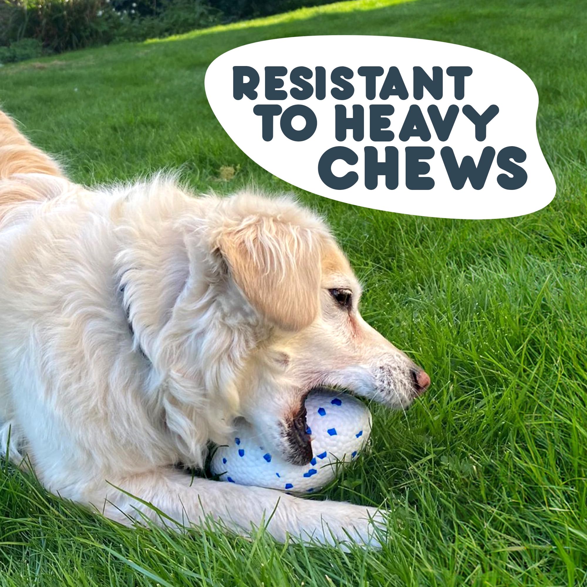 Petface Outdoor Paws Mighty Rugby Ball Dog Toy - Extra Strong ETPU | Floats | For All Breeds