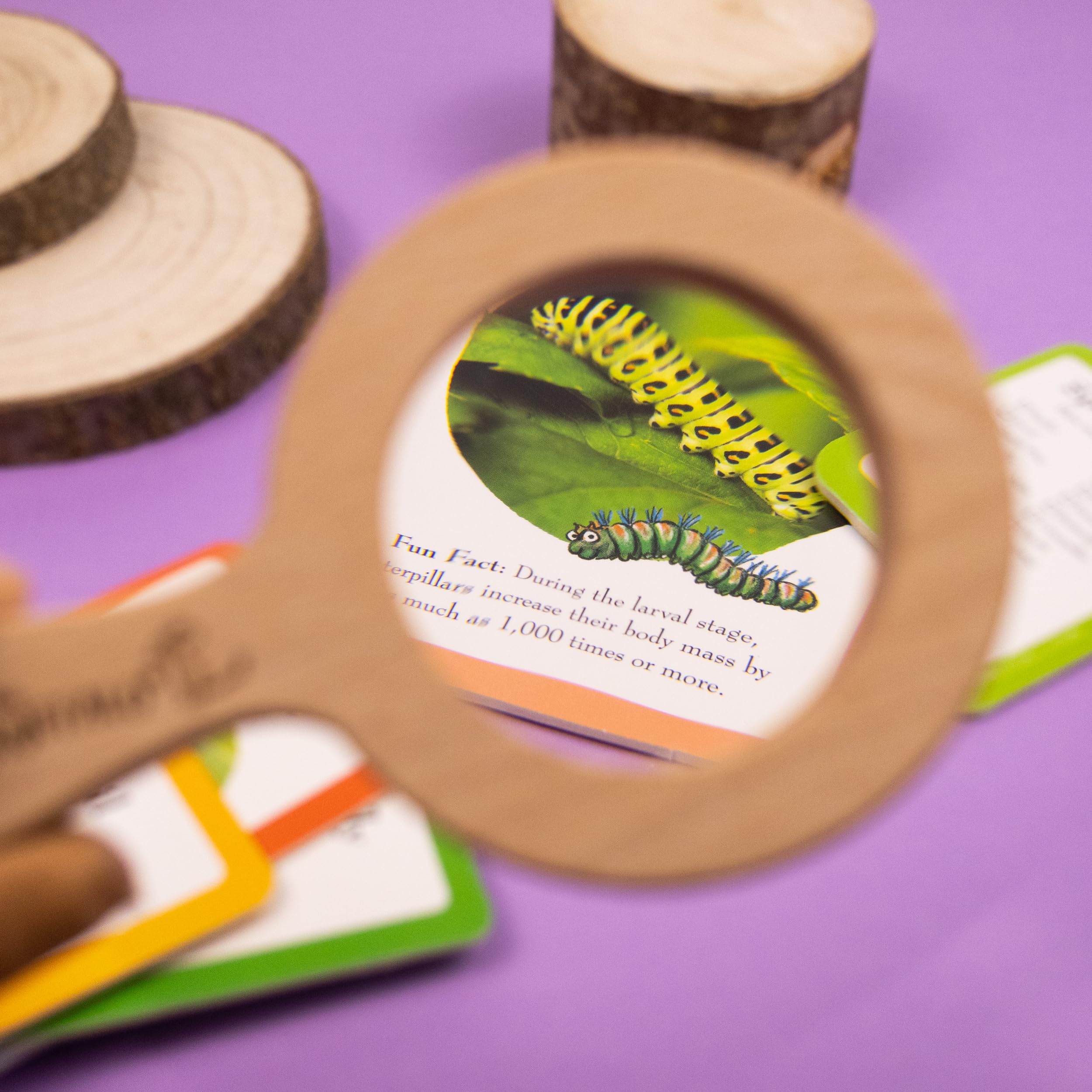 The Gruffalo Bug Spotter Activity Set - Nature Exploration for Kids