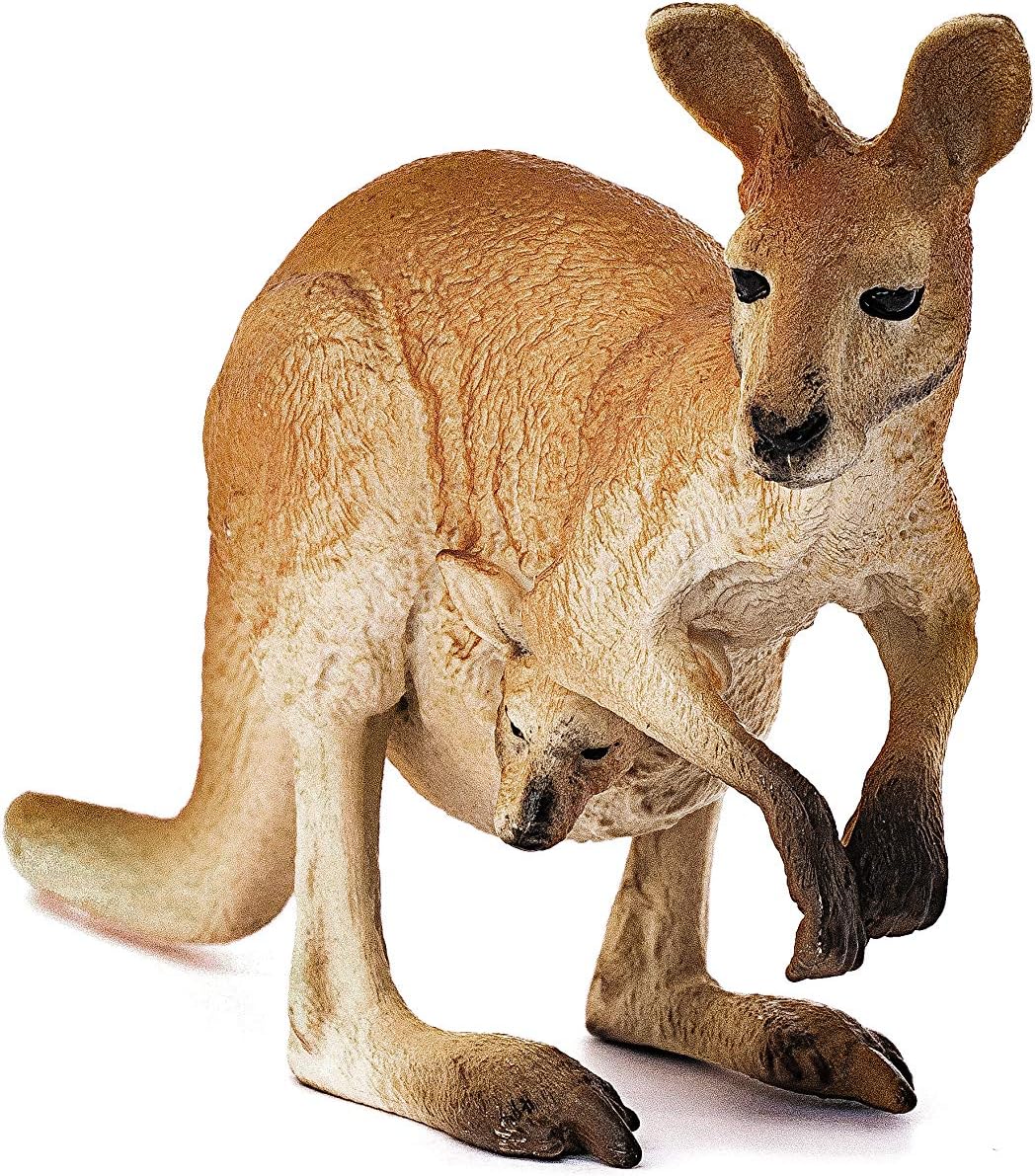 Schleich 14756 Kangaroo - Realistic Wildlife Figurine for Imaginative Play 4