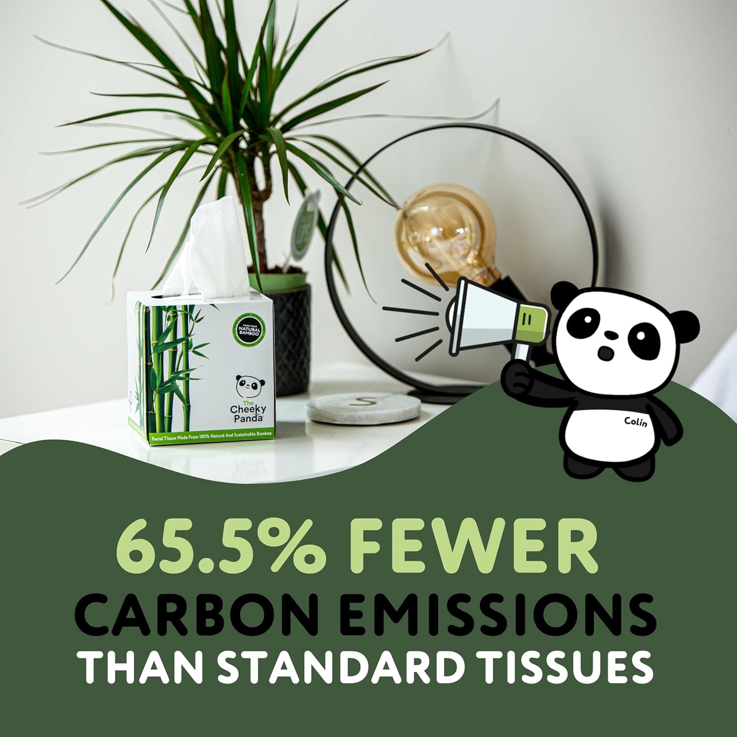The Cheeky Panda - Bamboo Facial Tissues 12-Pack | Plastic-Free, Hypoallergenic Face Tissues 6