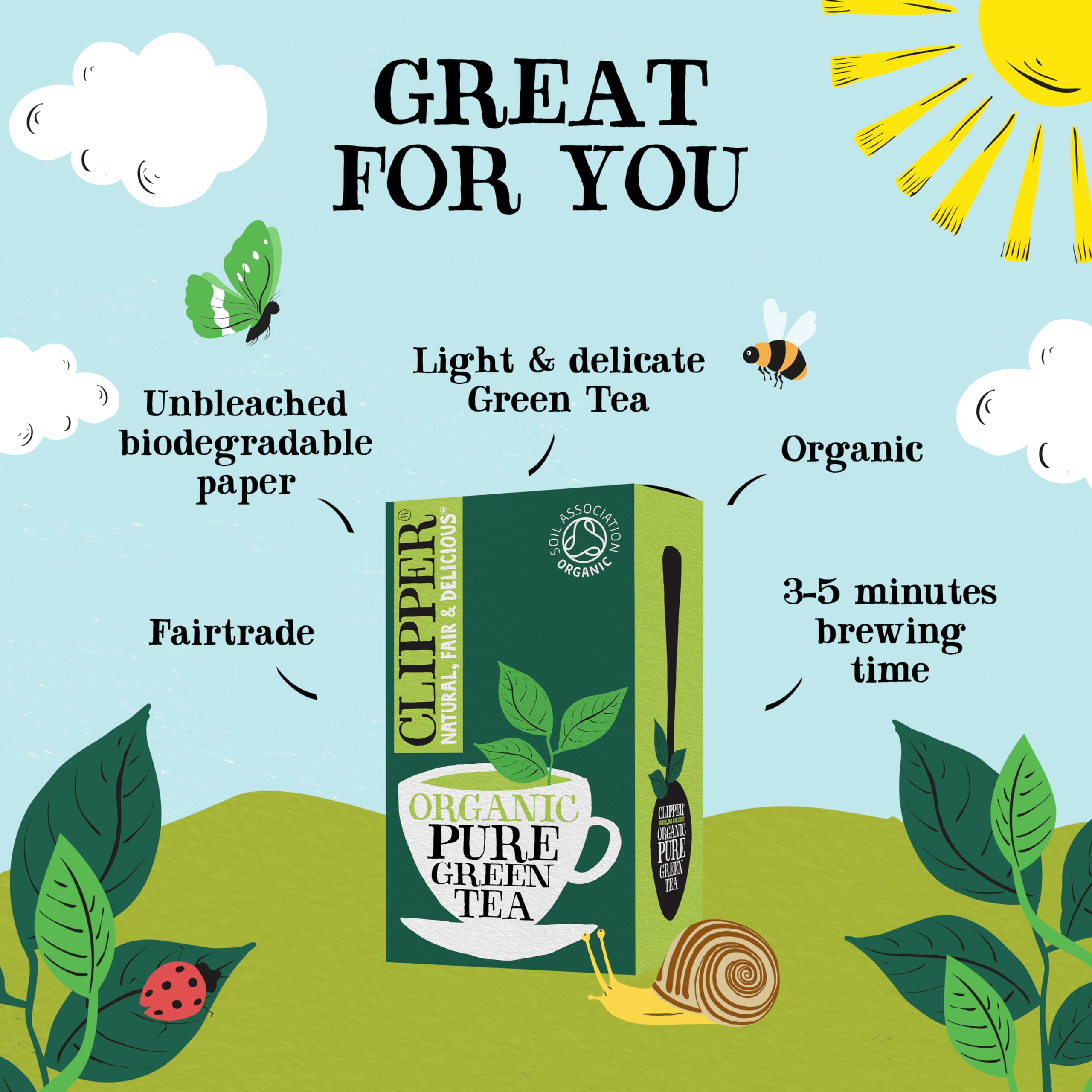 Clipper Organic Fairtrade Pure Green Tea - 6 x 20 Teabags (120 Total) | Antioxidant Source