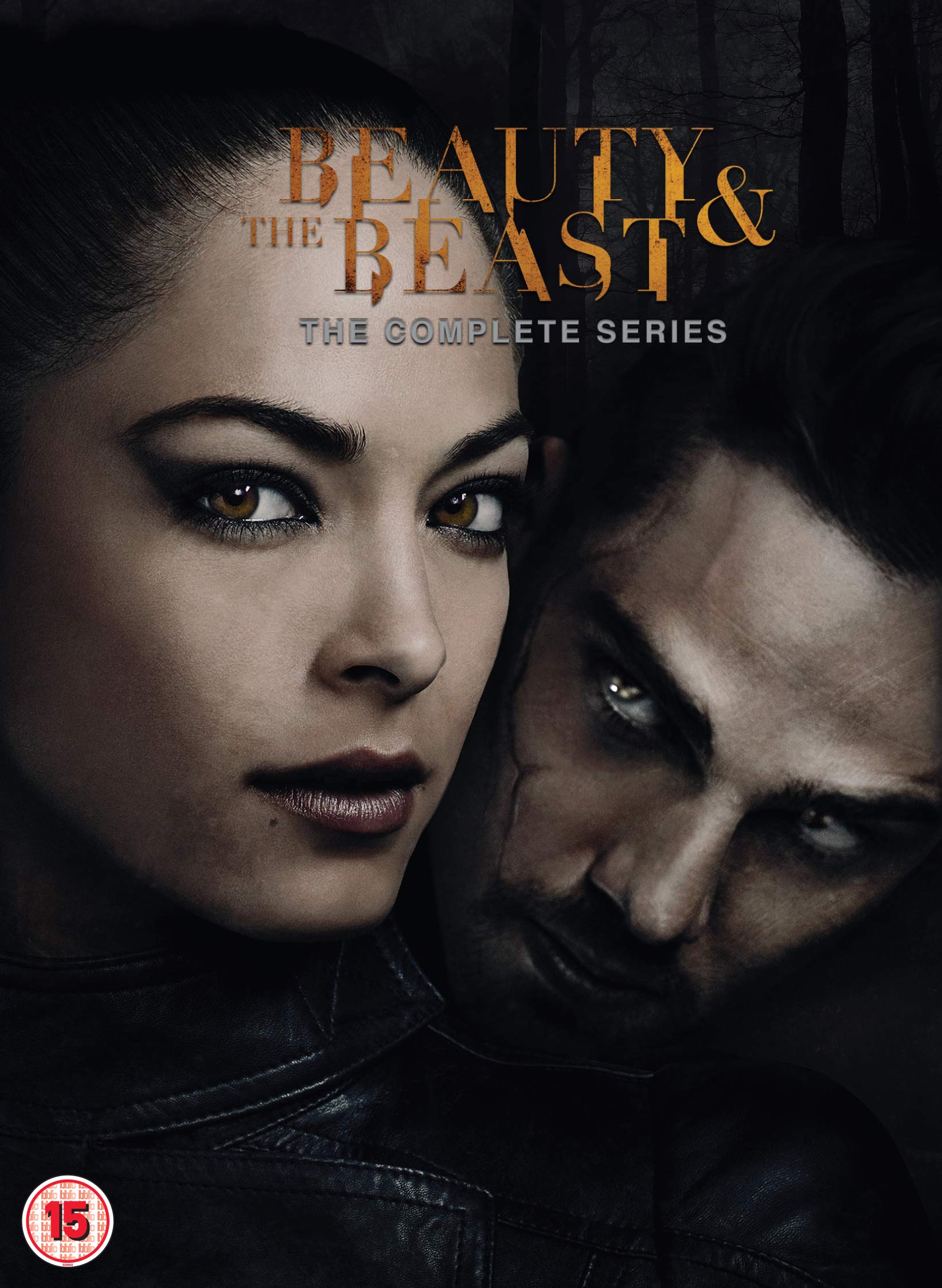 Beauty and the Beast: Seasons 1-4 [DVD]